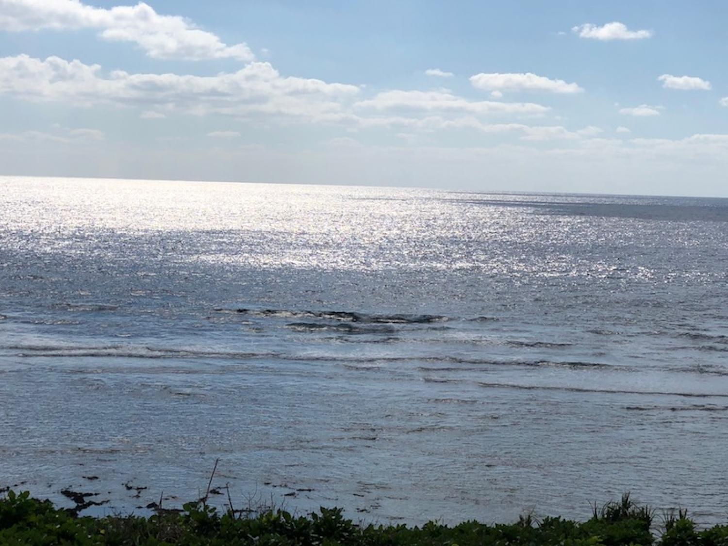 2018 Nov 8 suicide point wave information 1
