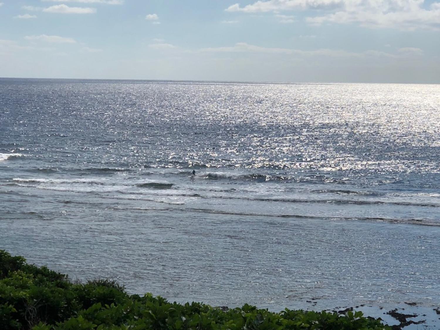 2018 Nov 8 suicide point wave information 2