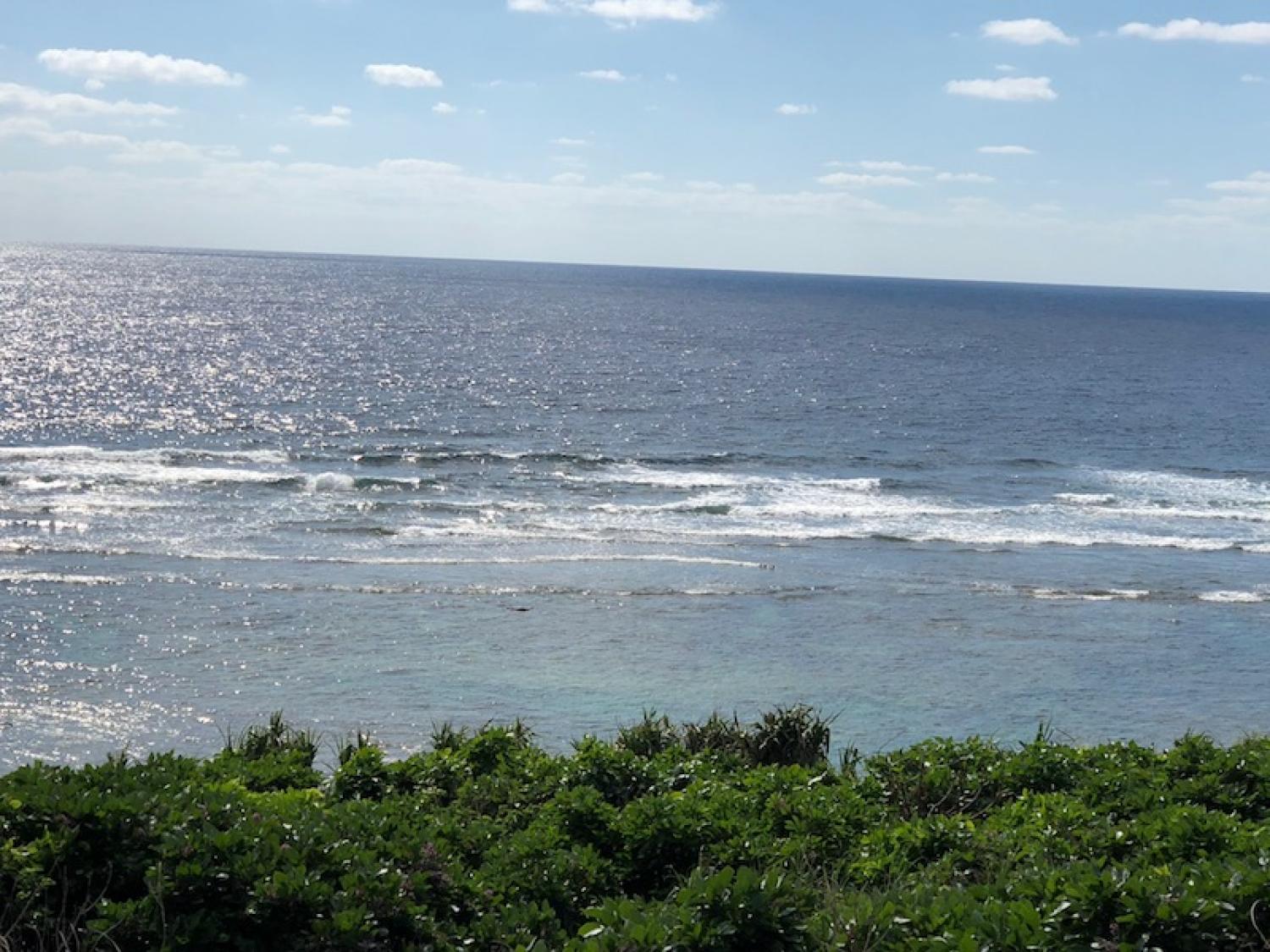 2018 Nov 8 suicide point wave information 3