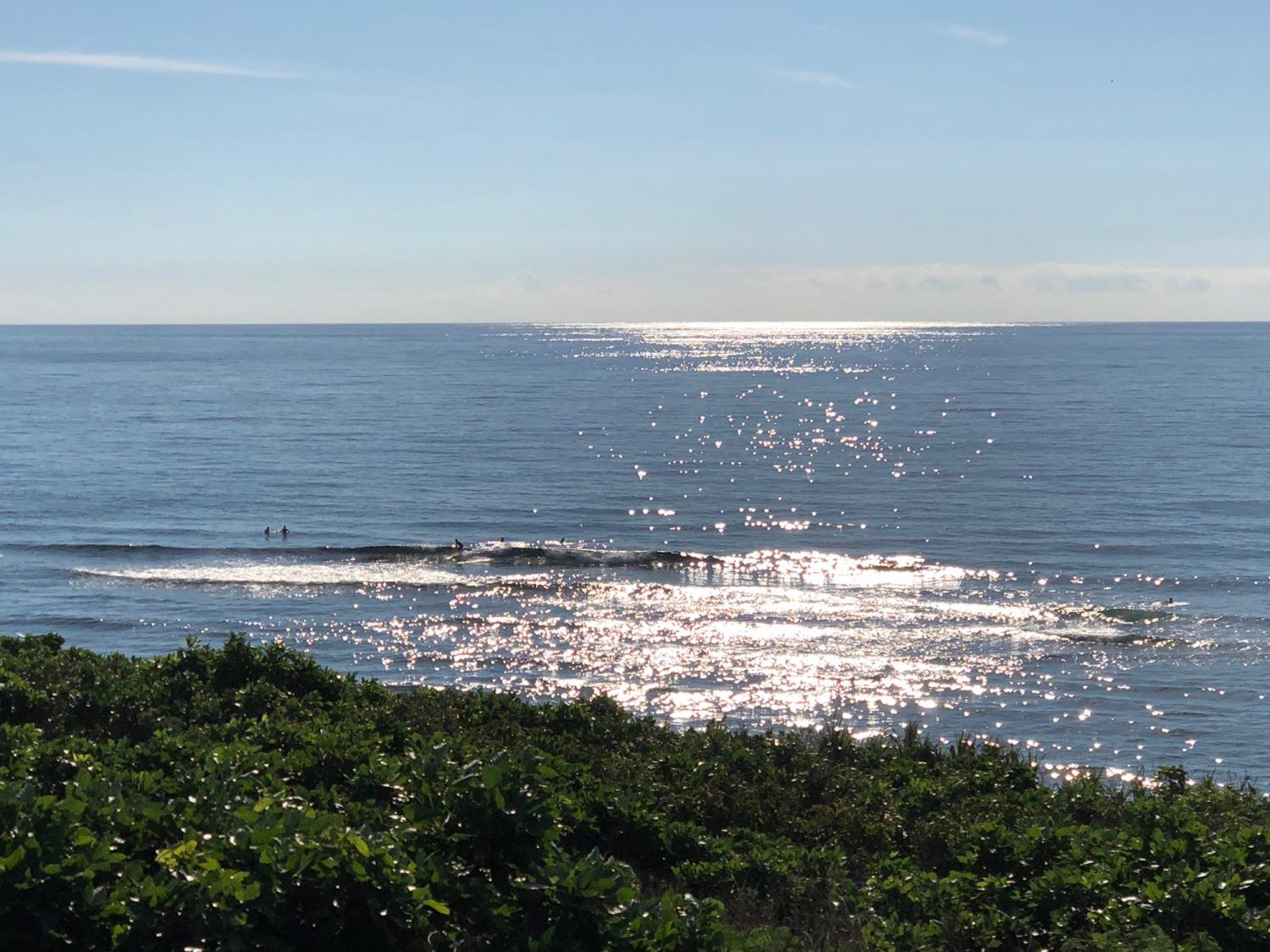 2018 Nov 9 suicide point wave information 2