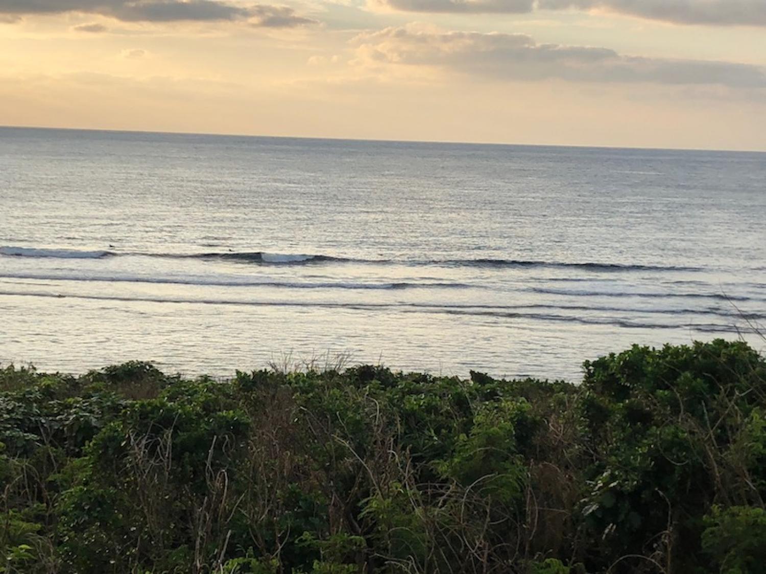 2018 Nov 12 suicide point wave information 2