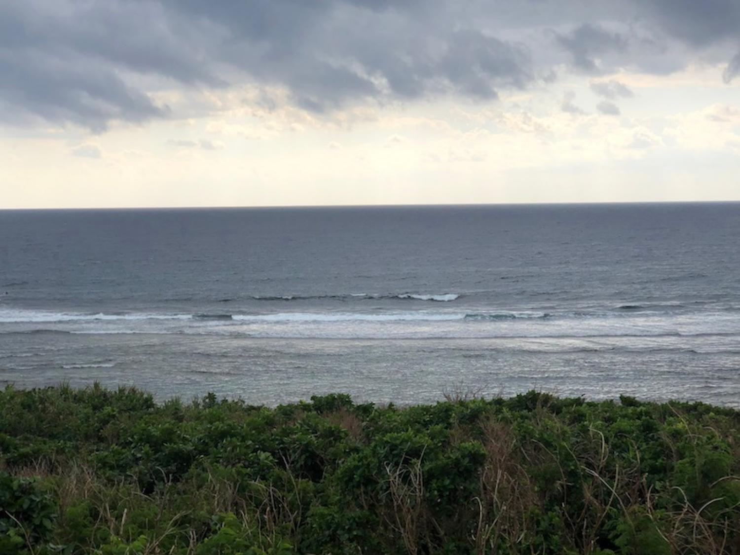 2018 Nov 15 suicide point wave information 2