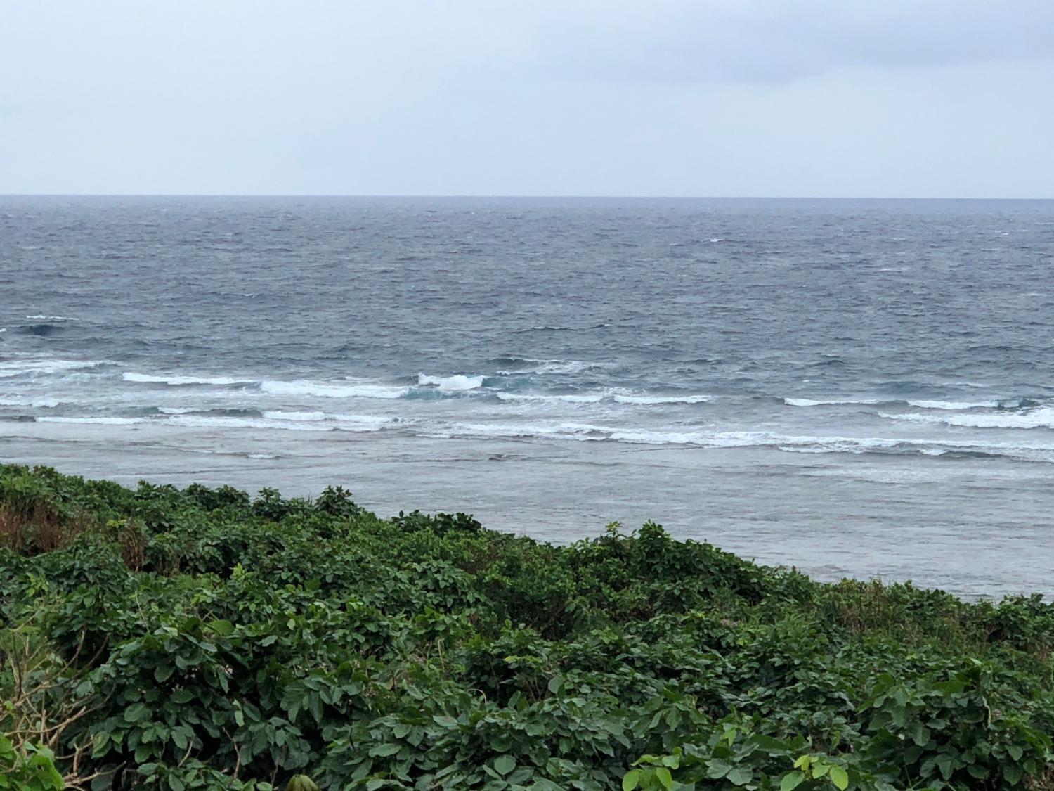 2018 Nov 16 suicide point wave information 2
