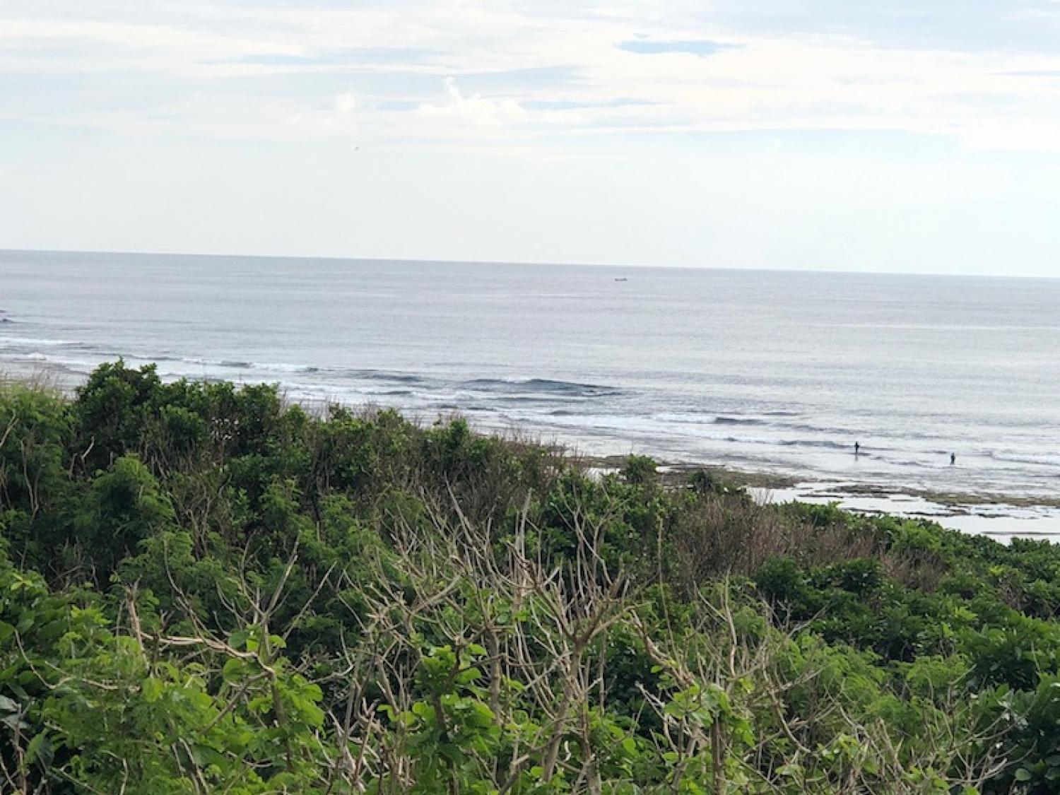 2018 Nov 17 suicide point wave information 1