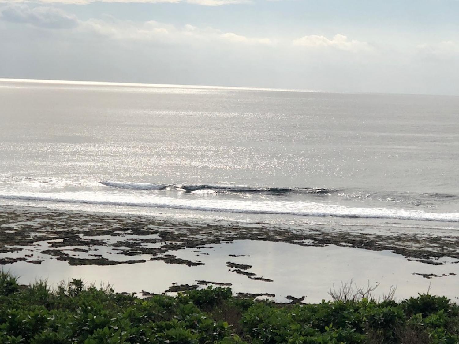 2018 Nov 17 suicide point wave information 3