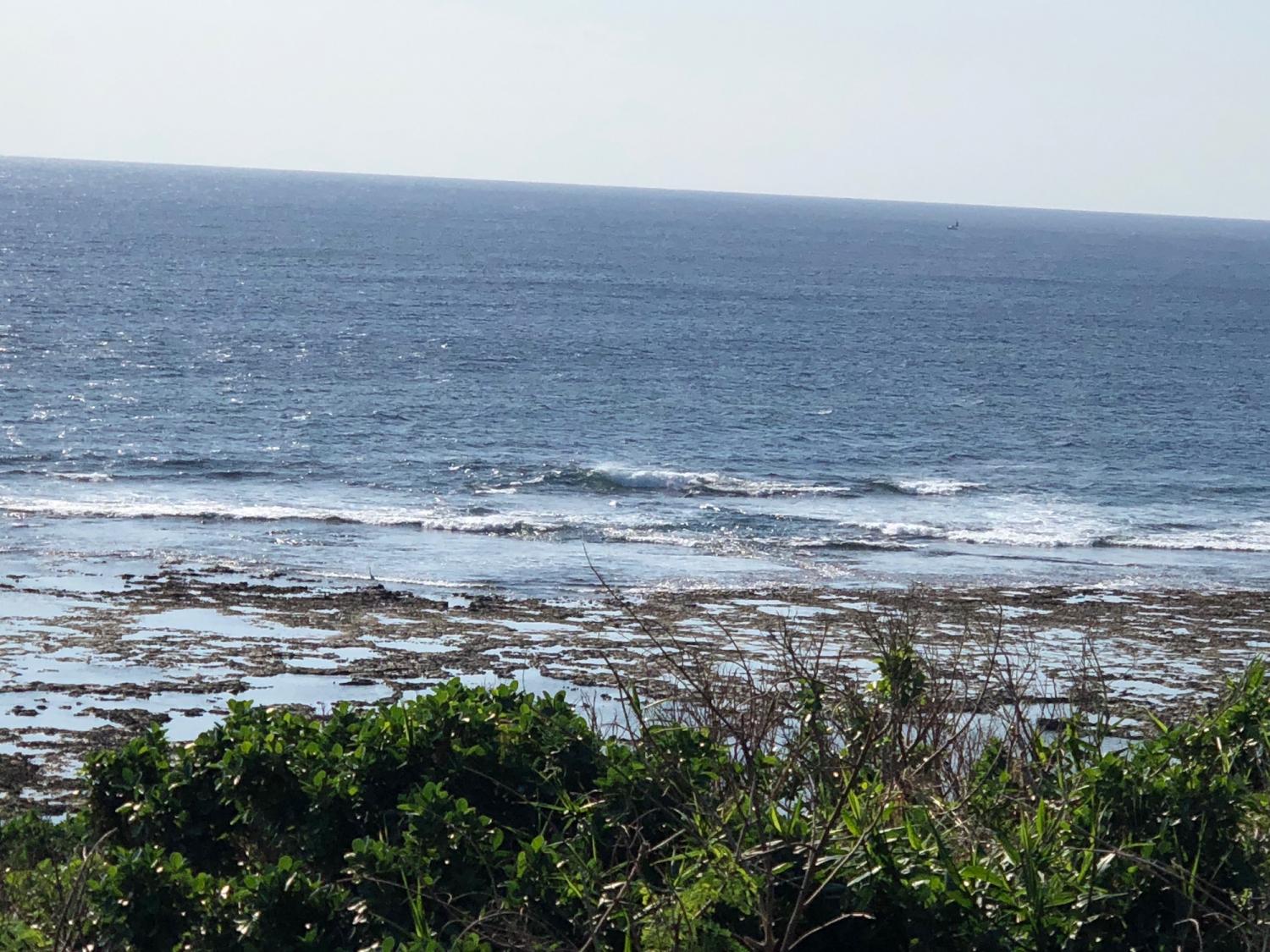 2018 Nov 20 suicide point wave information