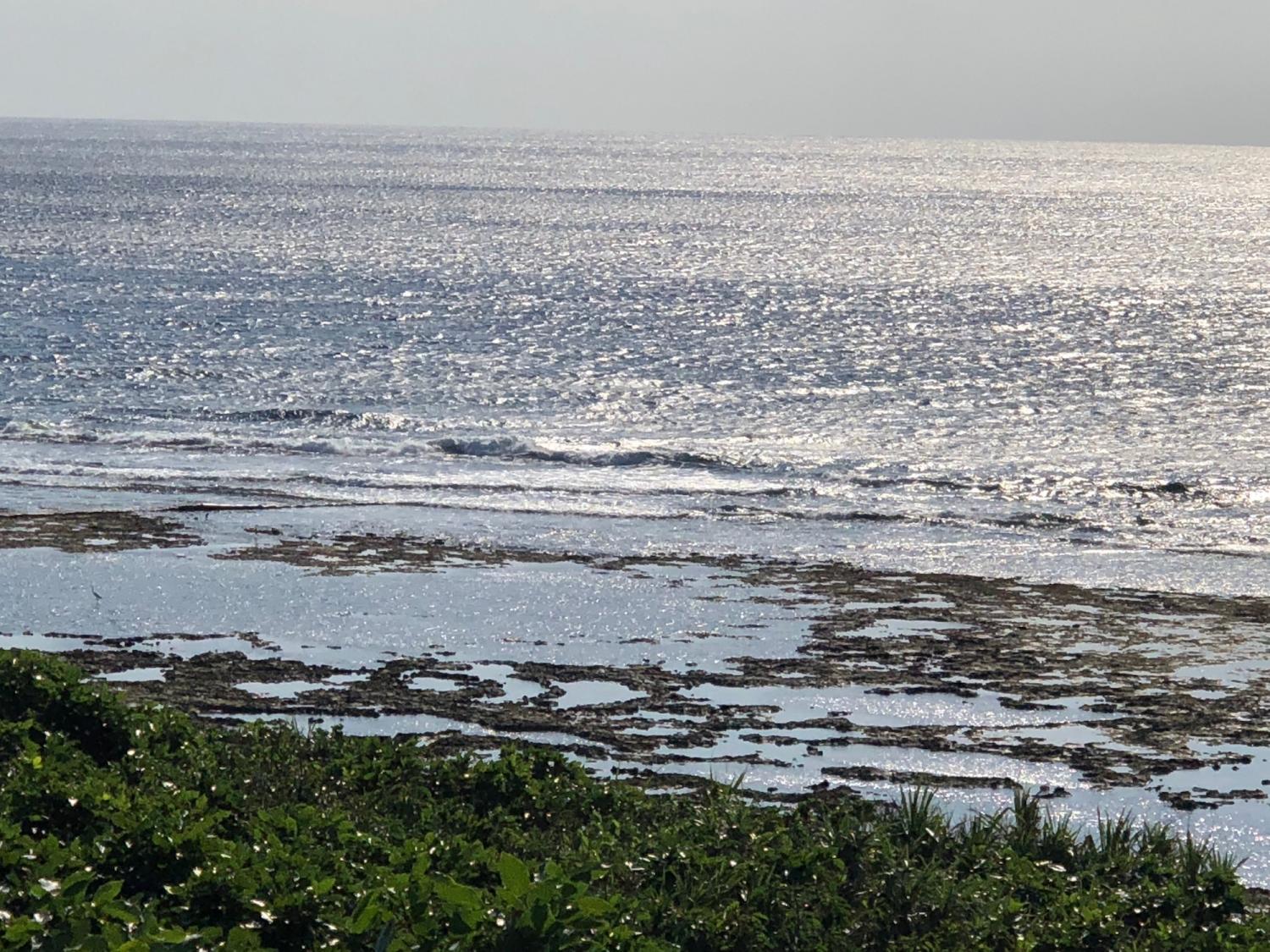2018 Nov 20 suicide point wave information 2