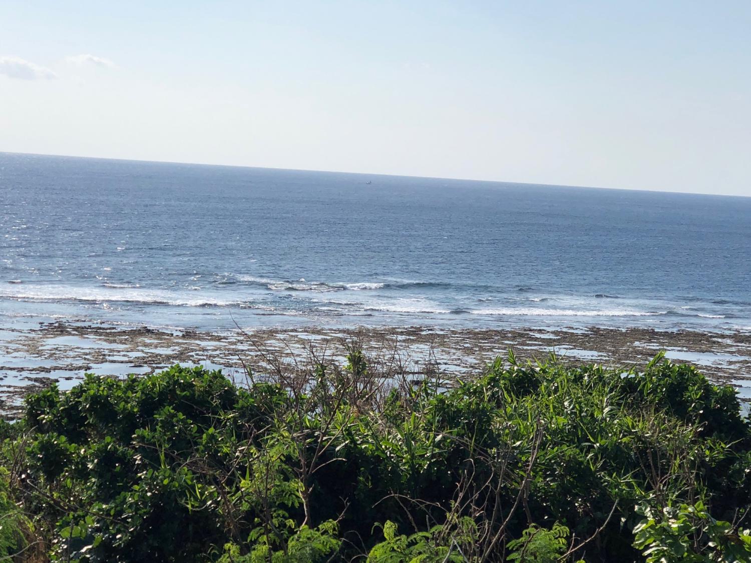 2018 Nov 20 suicide point wave information 3
