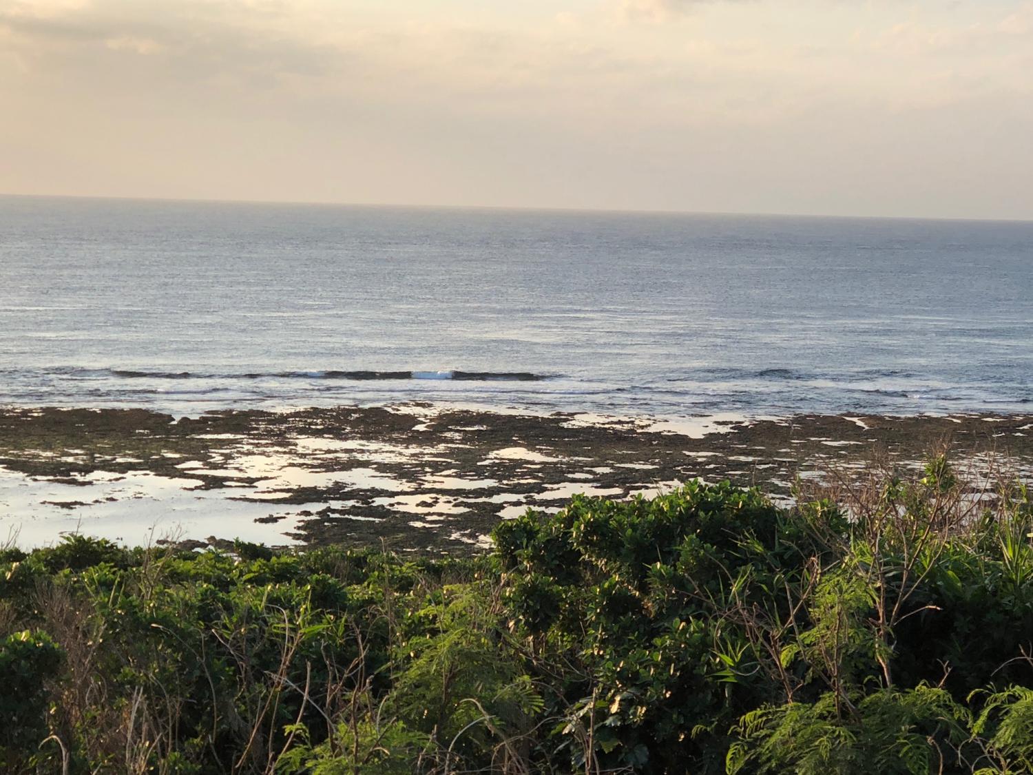 2018 Nov 30 suicide point wave information 2
