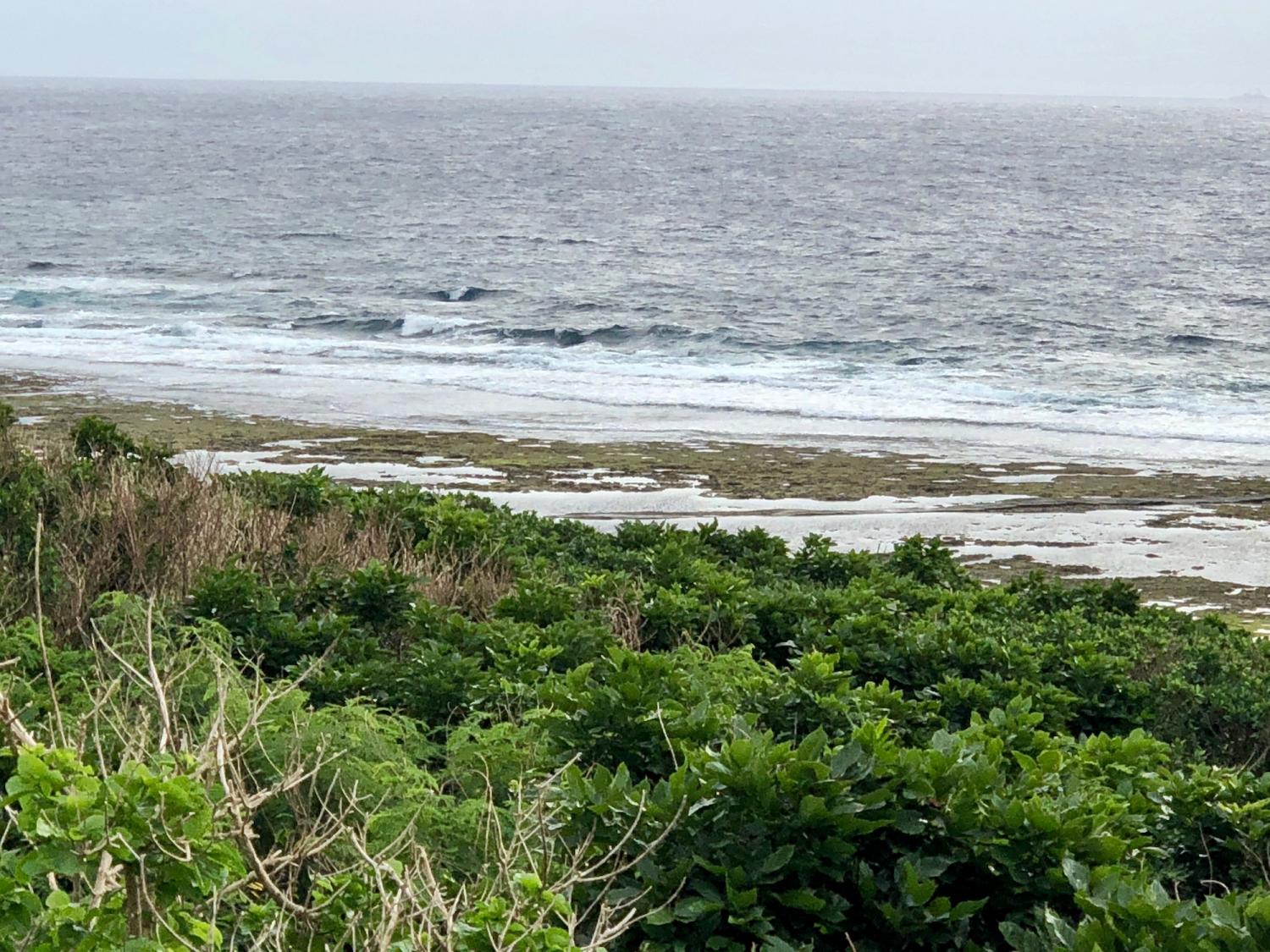 2018 Dec 2 suicide point wave information 4