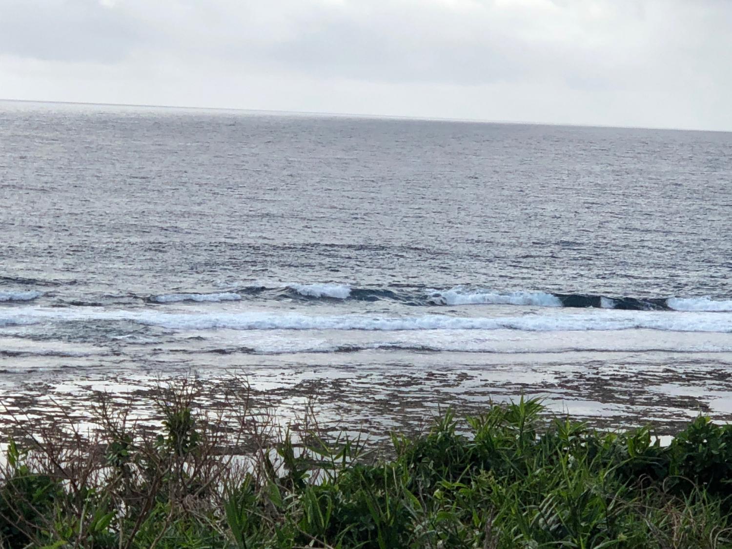 2018 Dec 4 suicide point wave information 2