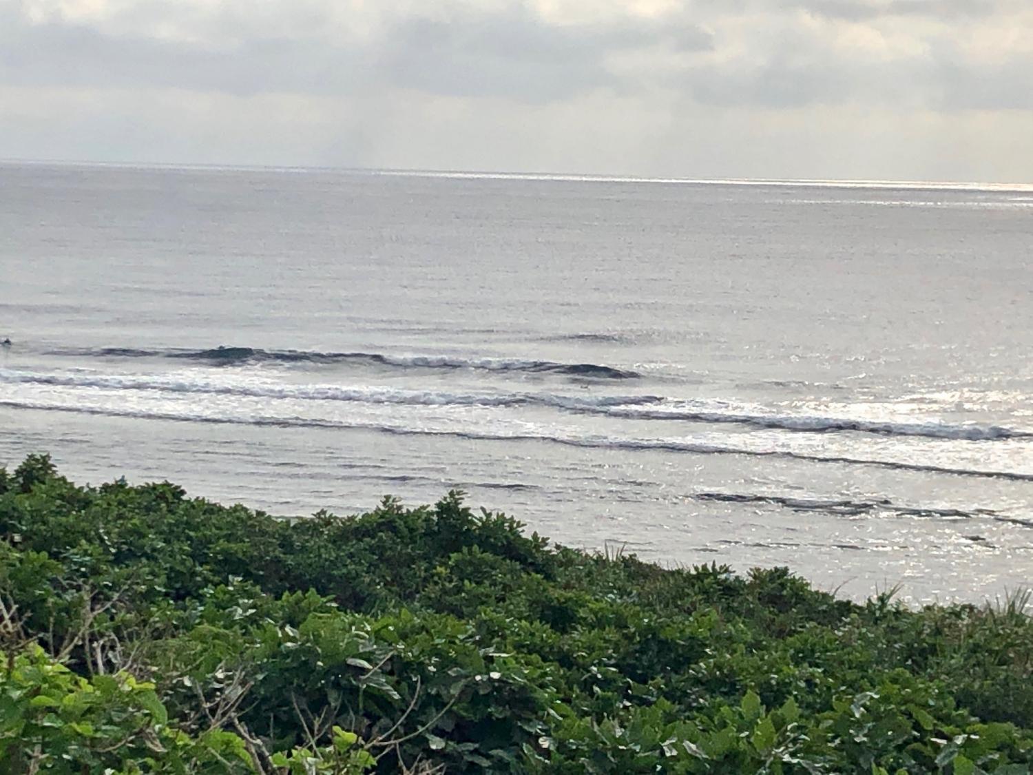 2018 Dec 7 suicide point wave information 1