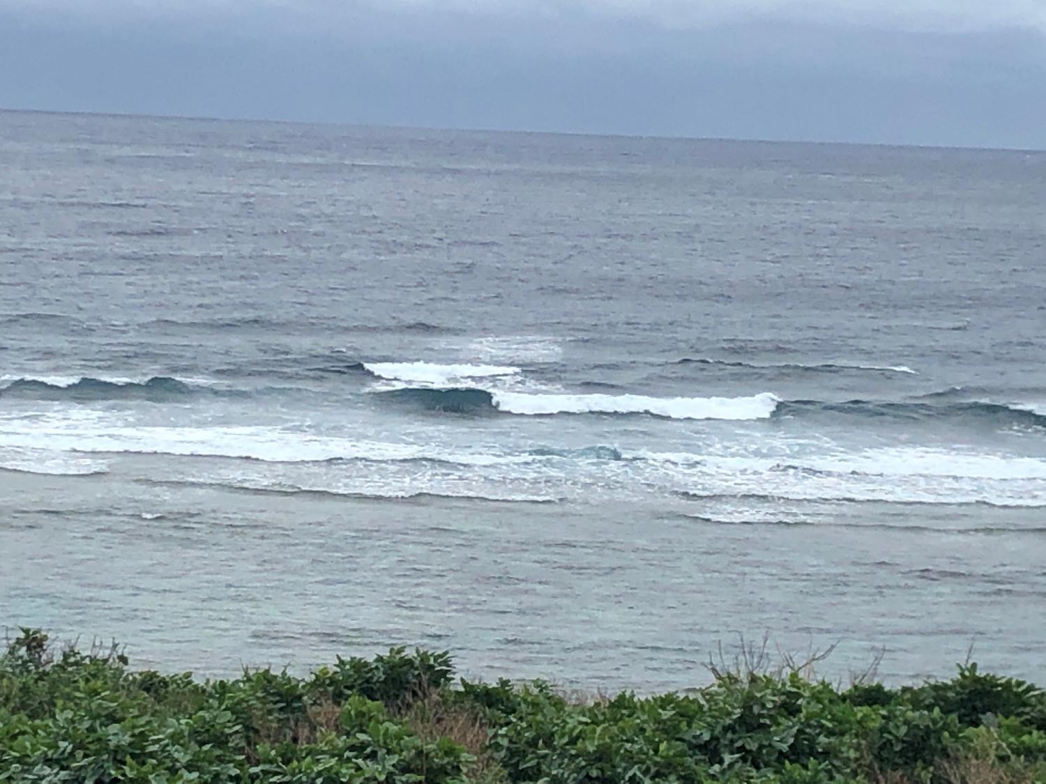 2018 Dec 8 suicide point wave information 1