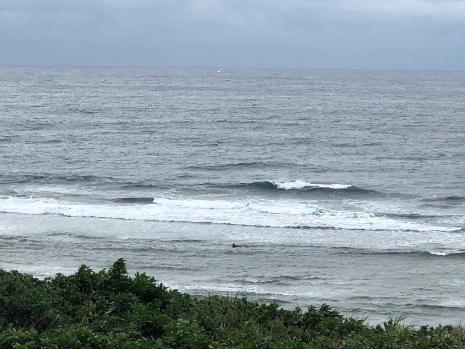2018 Dec 8 suicide point wave information 5