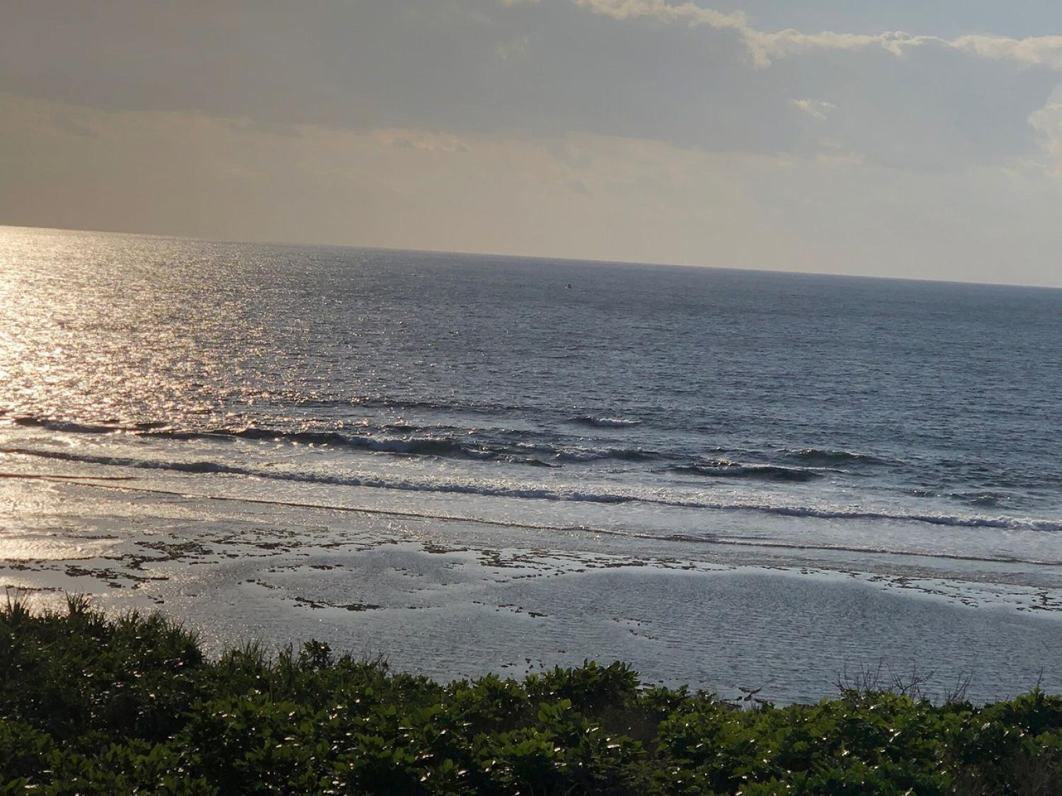2018 Dec 20 suicide point wave information 2