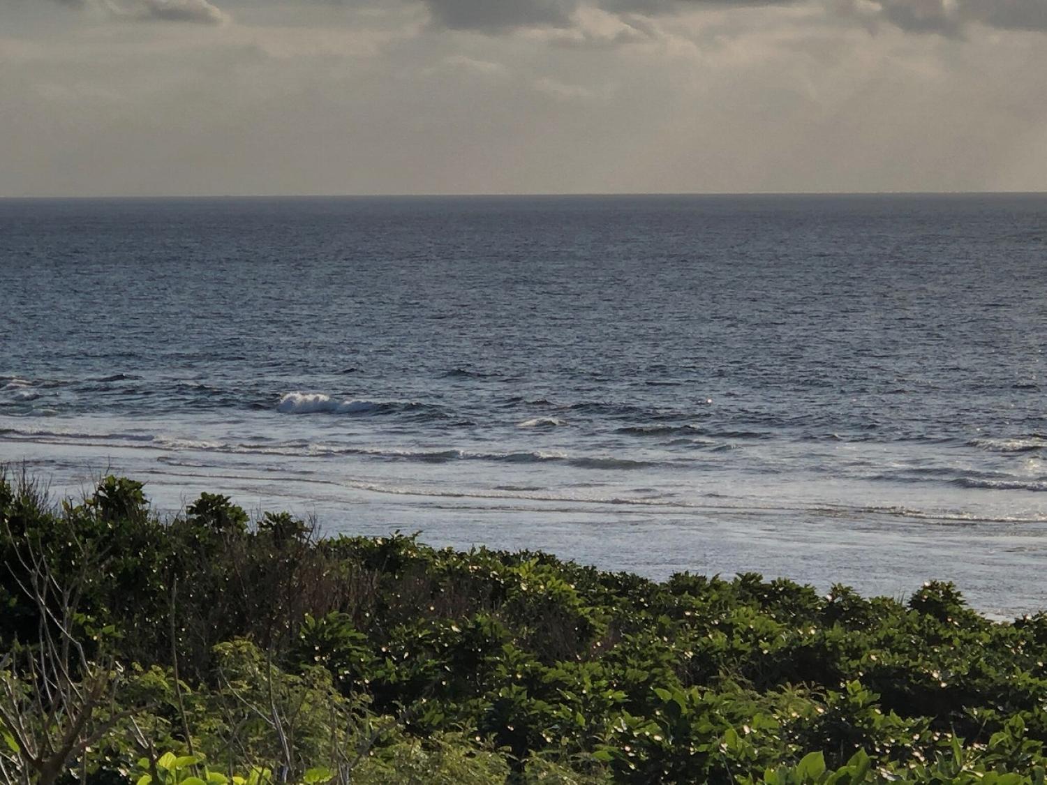 2018 Dec 20 suicide point wave information 3