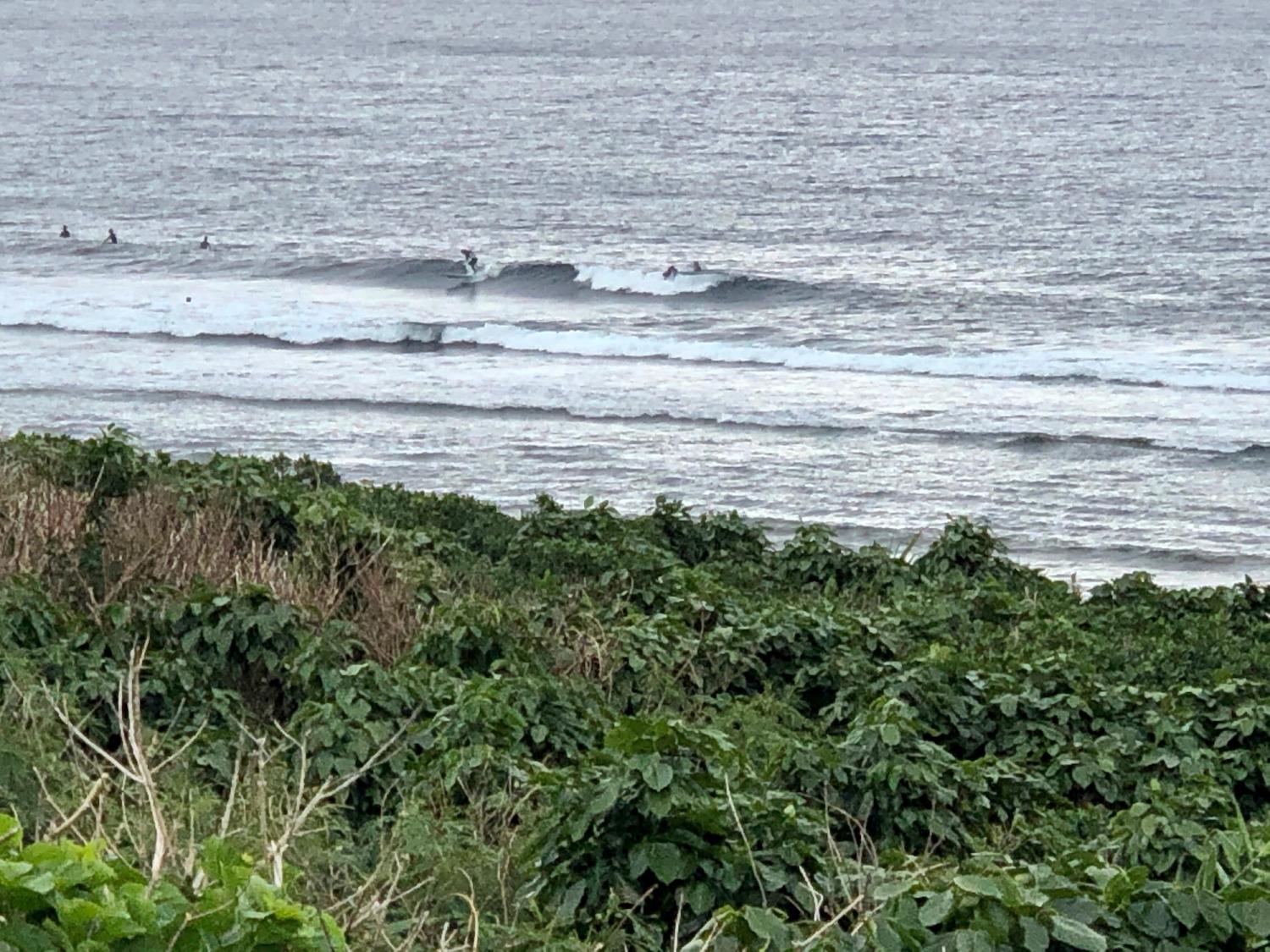2018 Dec 29 suicide point wave information 4