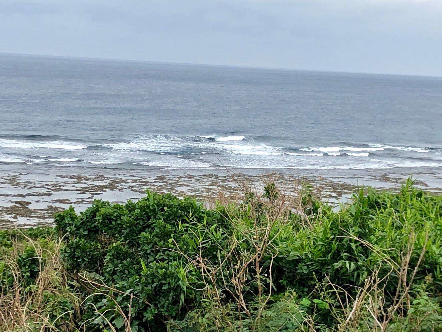 2019 Jan. 3 suicide point wave information 1