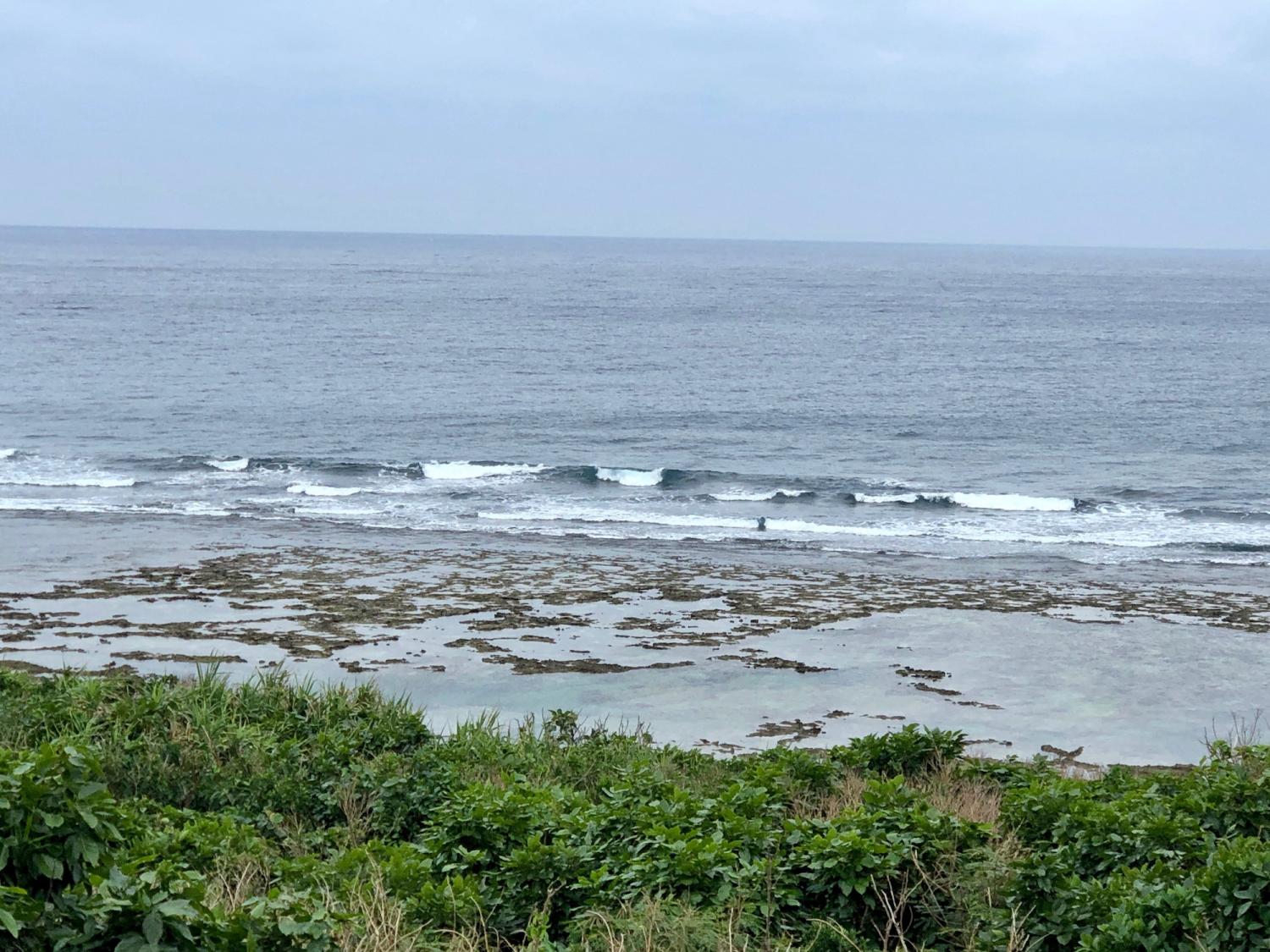 2019 Jan. 3 suicide point wave information 2