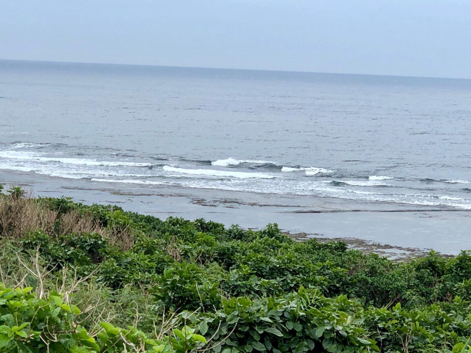 2019 Jan. 3 suicide point wave information 5