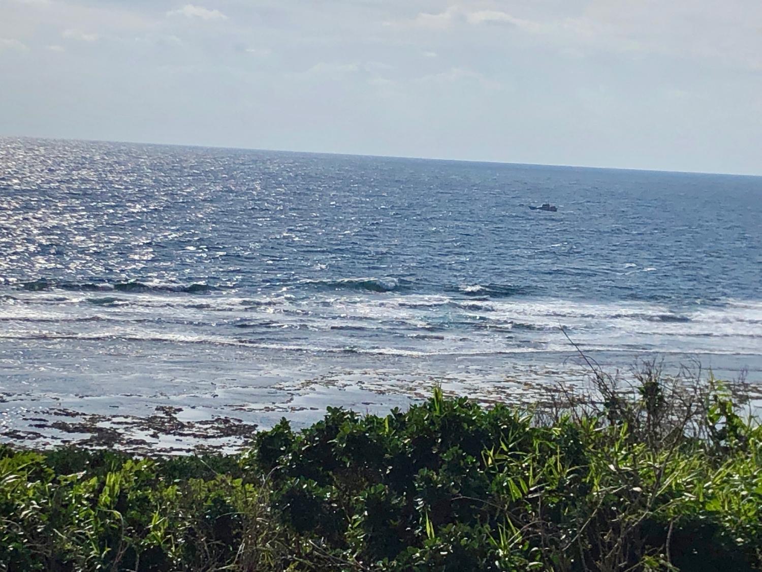 2019 Jan. 4 suicide point wave information 1