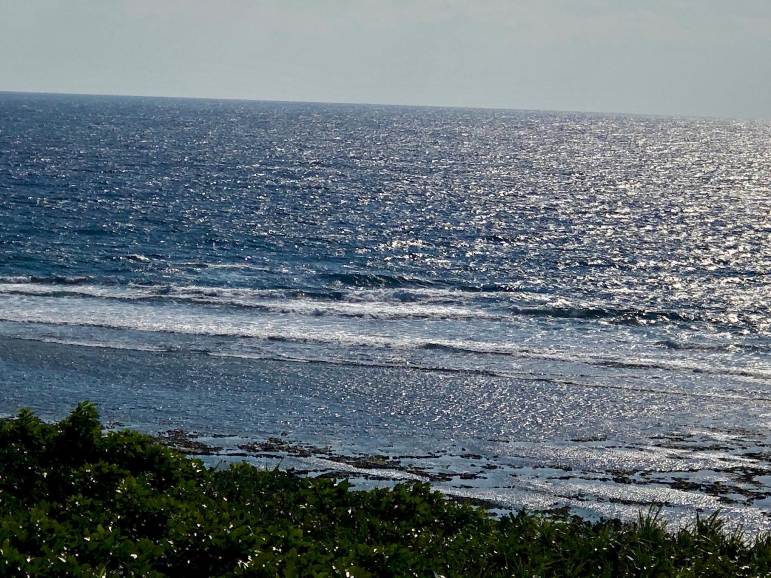 2019 Jan. 4 suicide point wave information 2