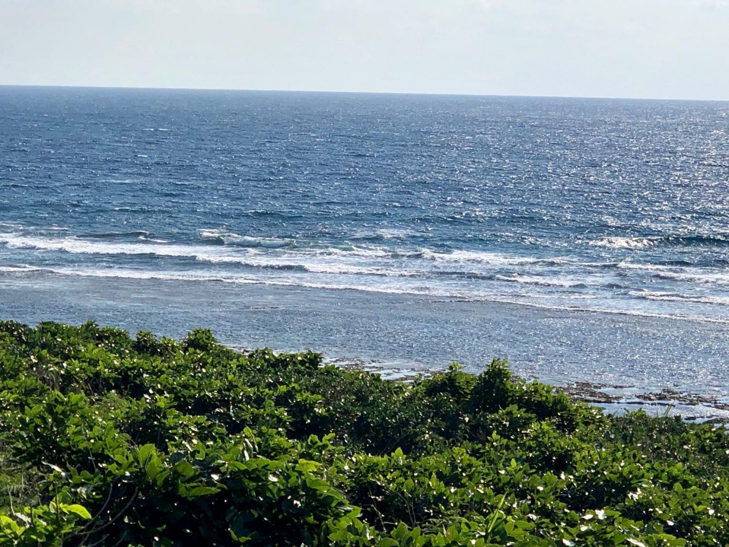 2019 Jan. 4 suicide point wave information 4