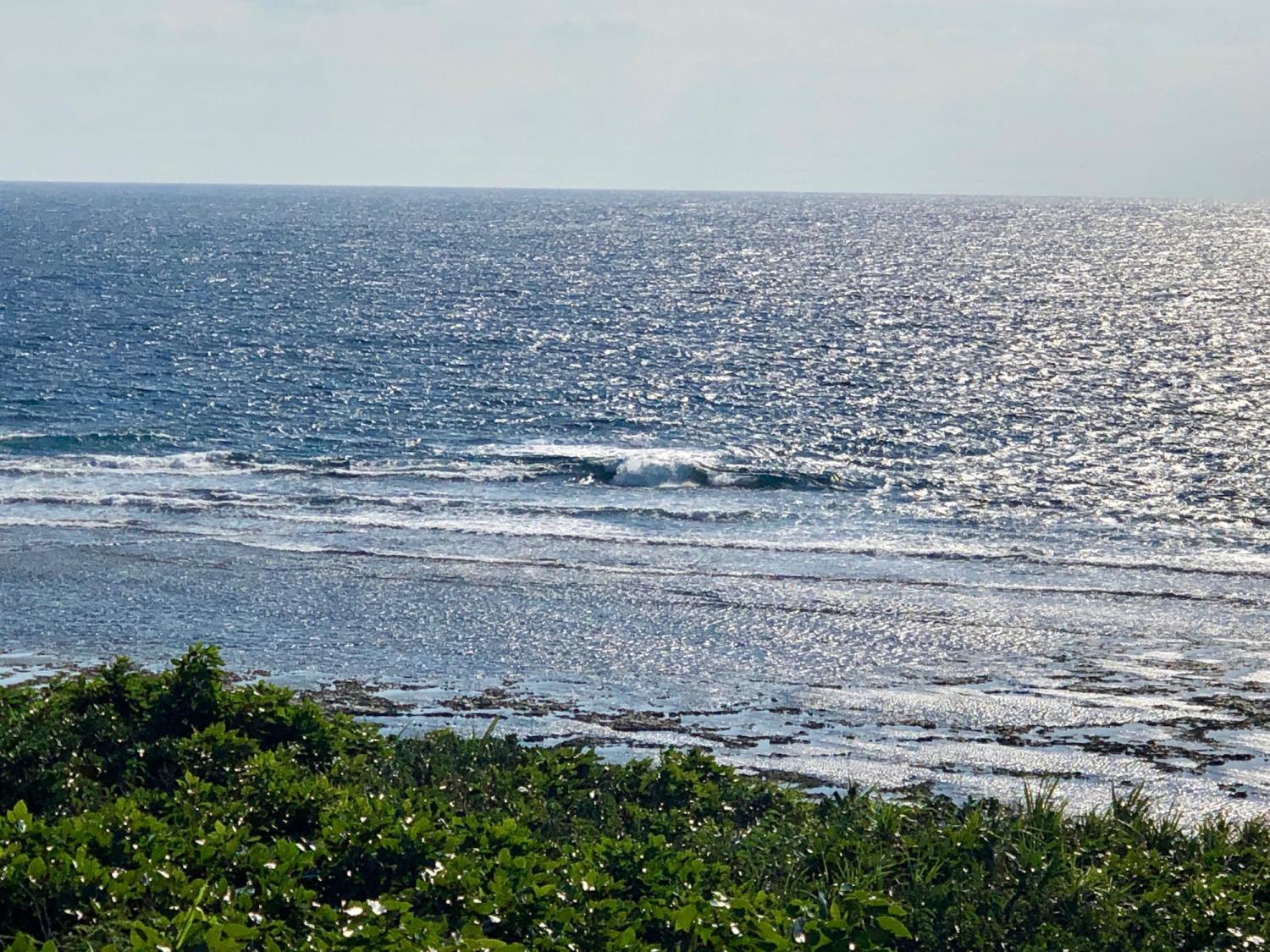 2019 Jan. 4 suicide point wave information 5