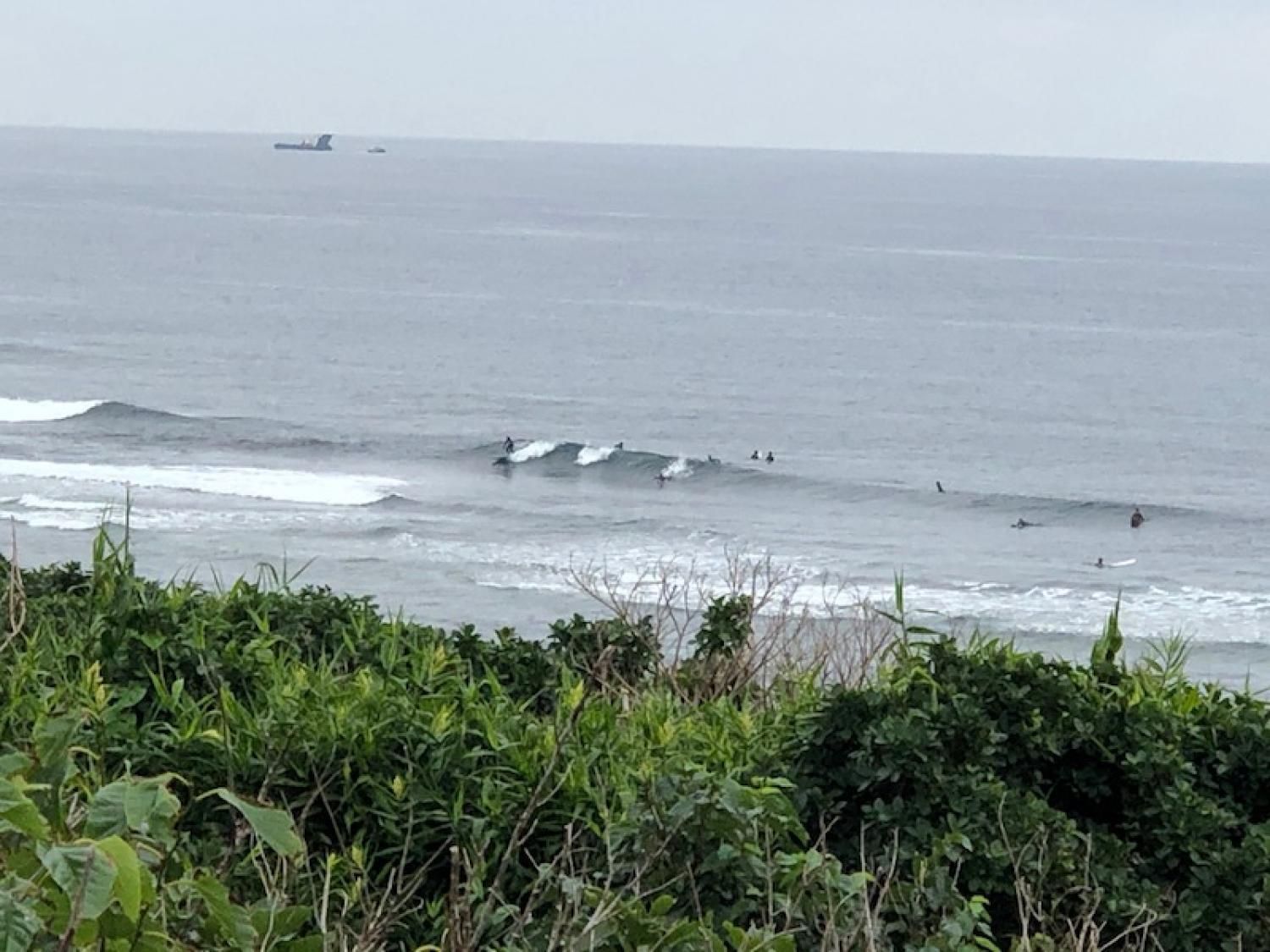 2019 Jan. 8 suicide point wave information 1