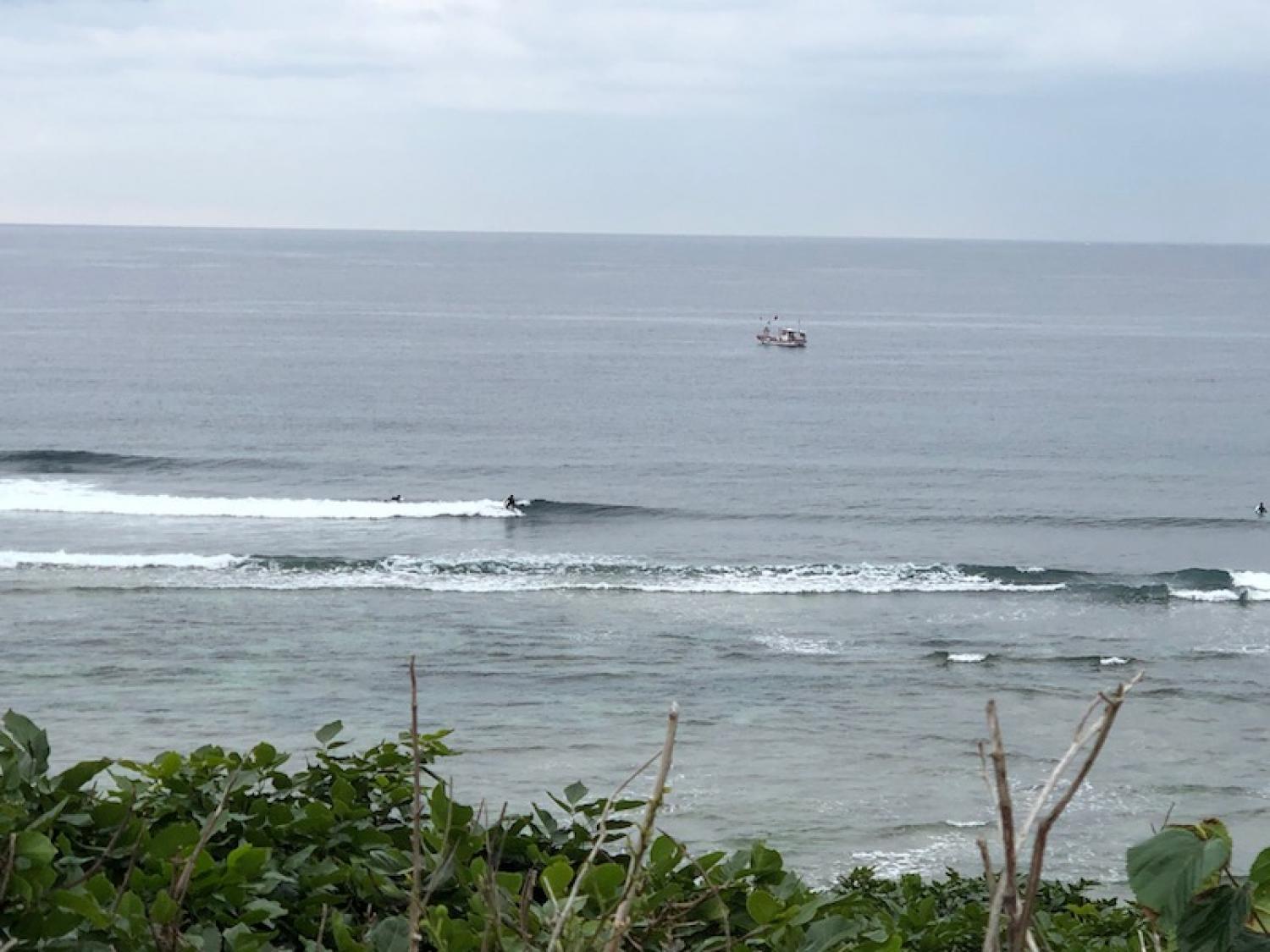 2019 Jan. 8 suicide point wave information 2