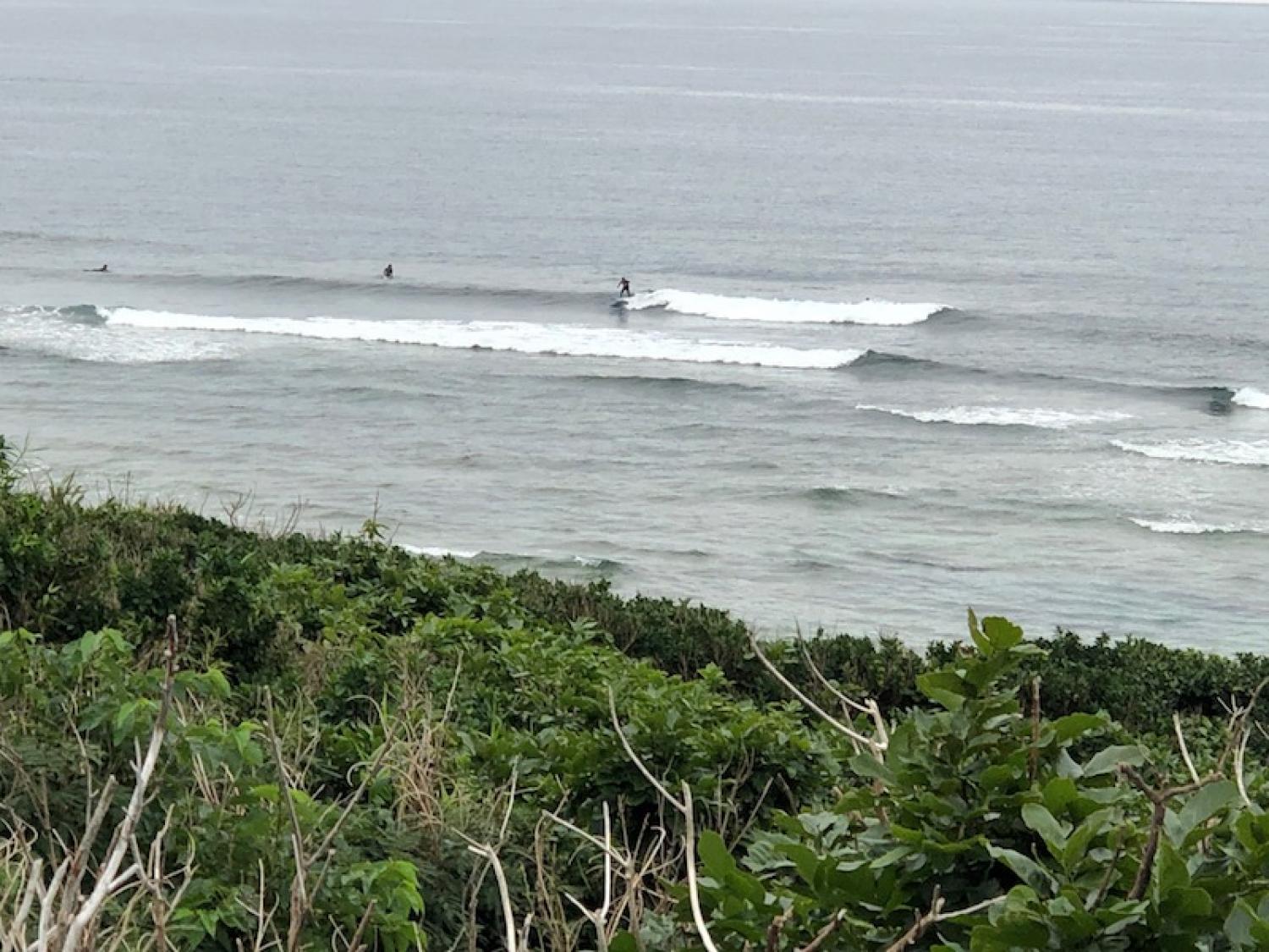 2019 Jan. 8 suicide point wave information 3