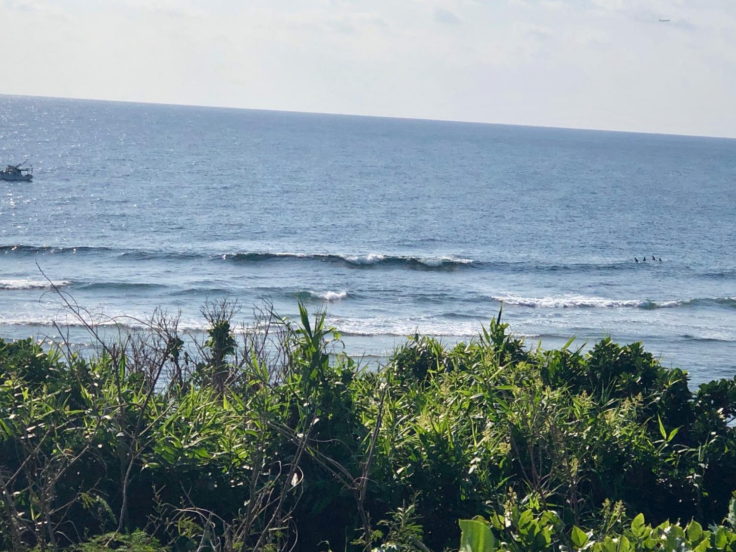 2019 Jan. 14 suicide point wave information 1