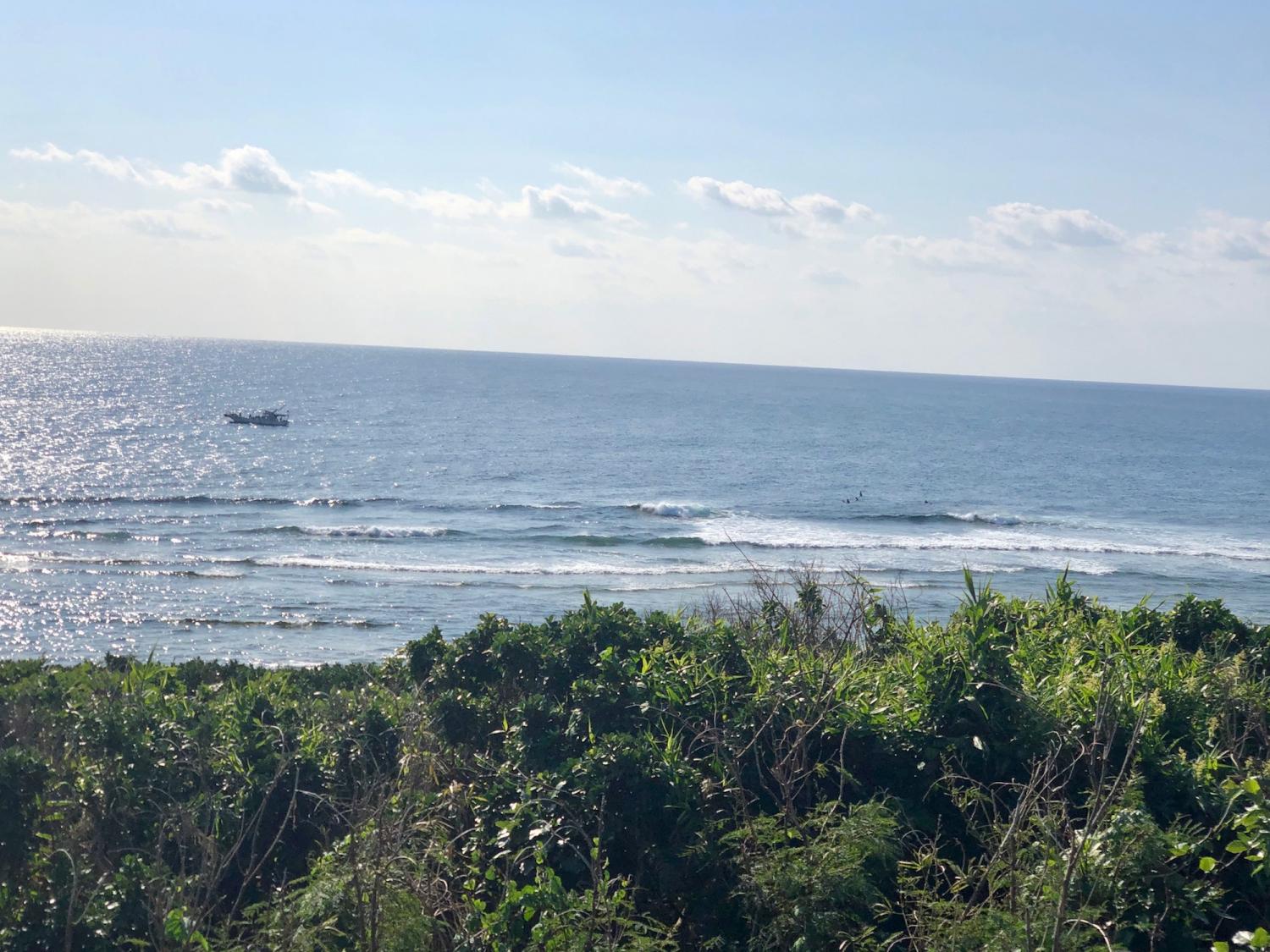 2019 Jan. 14 suicide point wave information 4