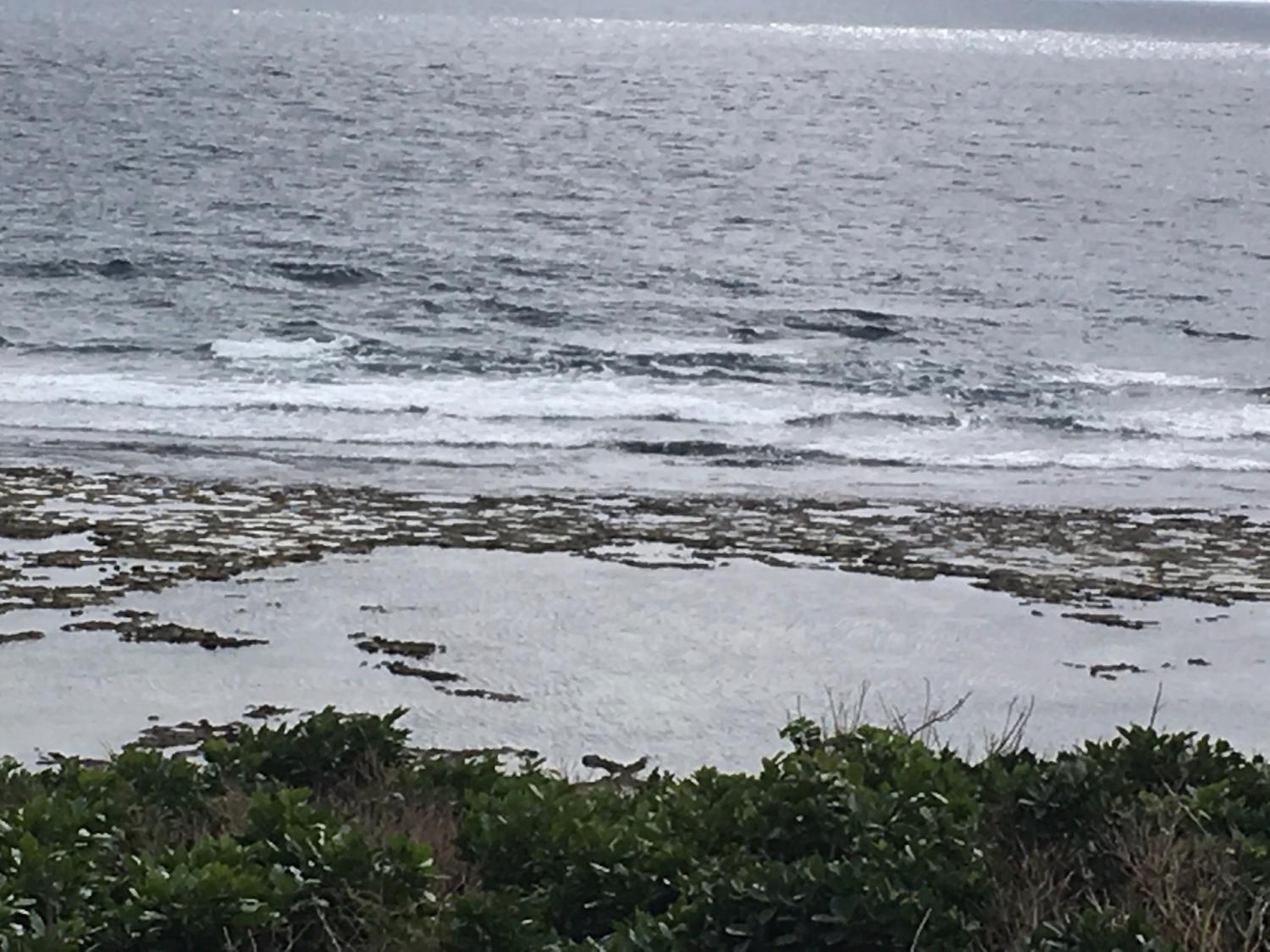 2019 Jan. 20 suicide point wave information