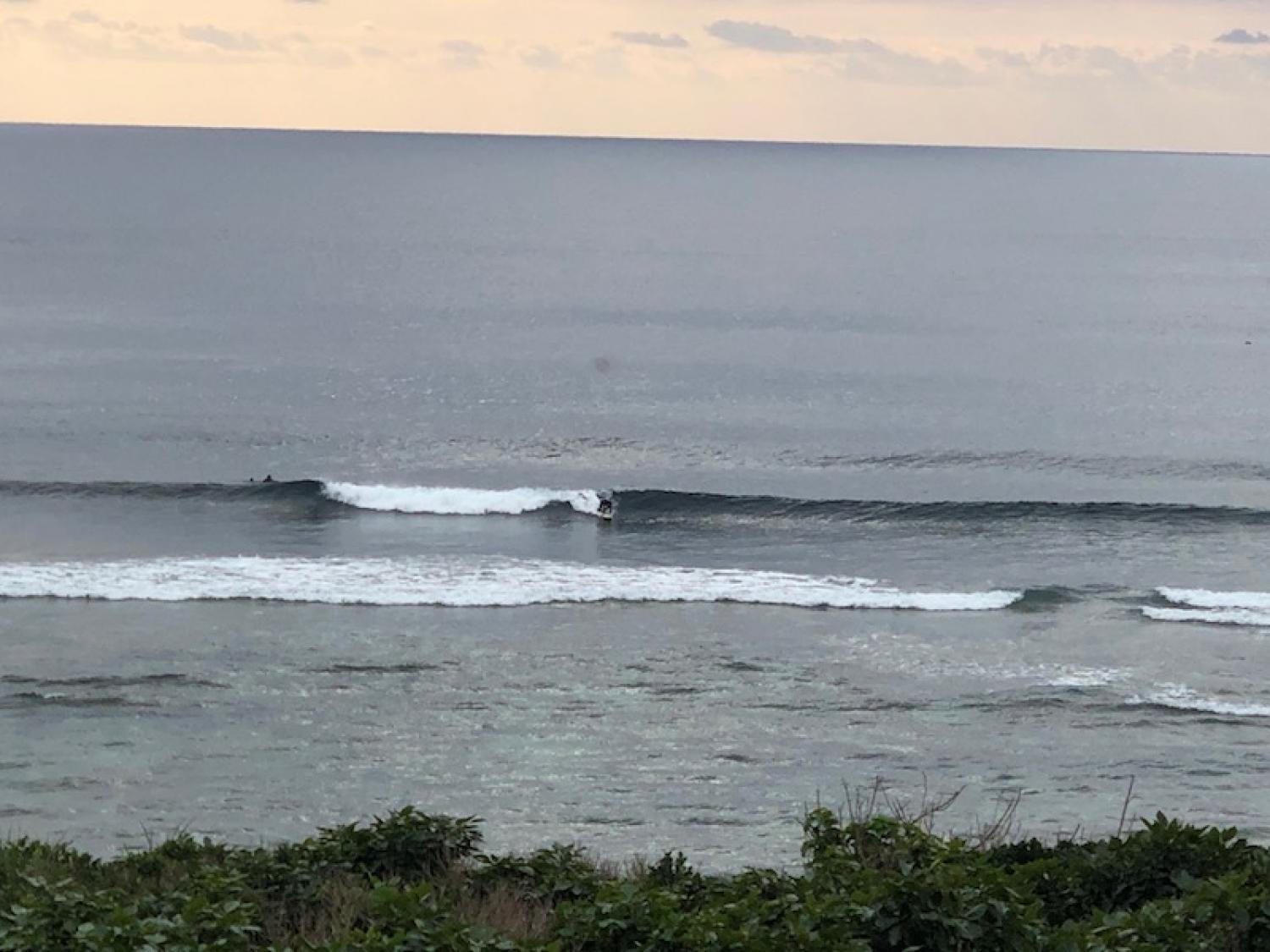 2019 Jan. 22 suicide point wave information