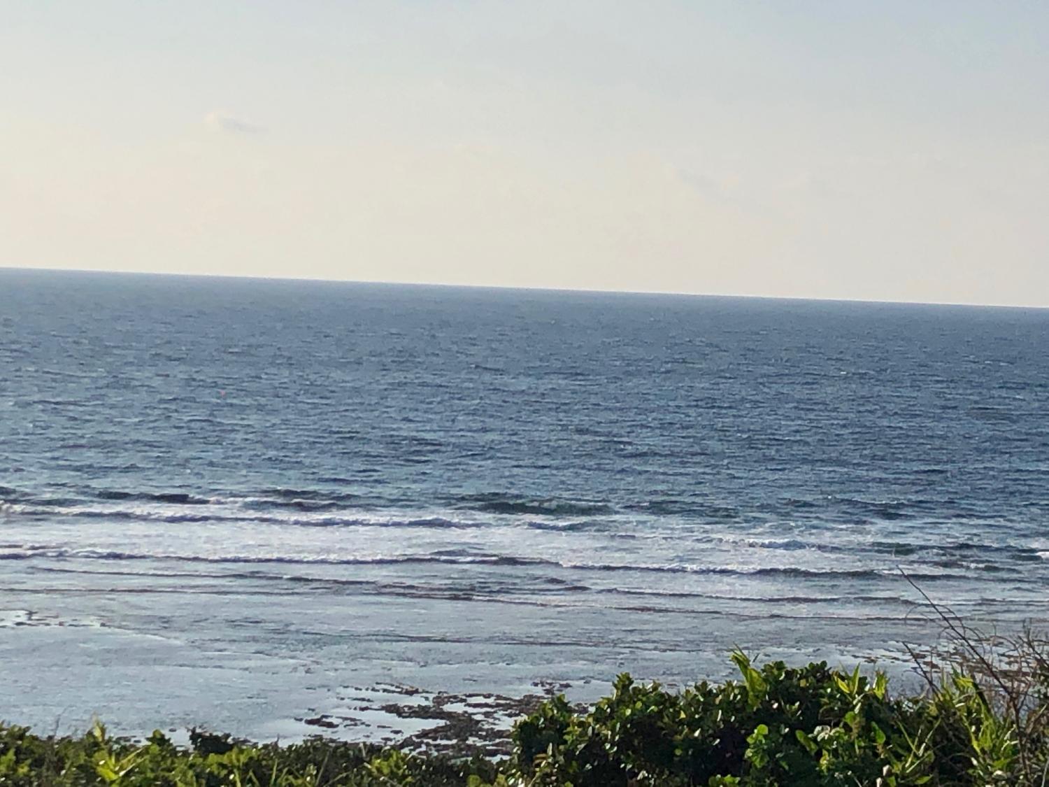 2019 Jan. 31 suicide point wave information 1