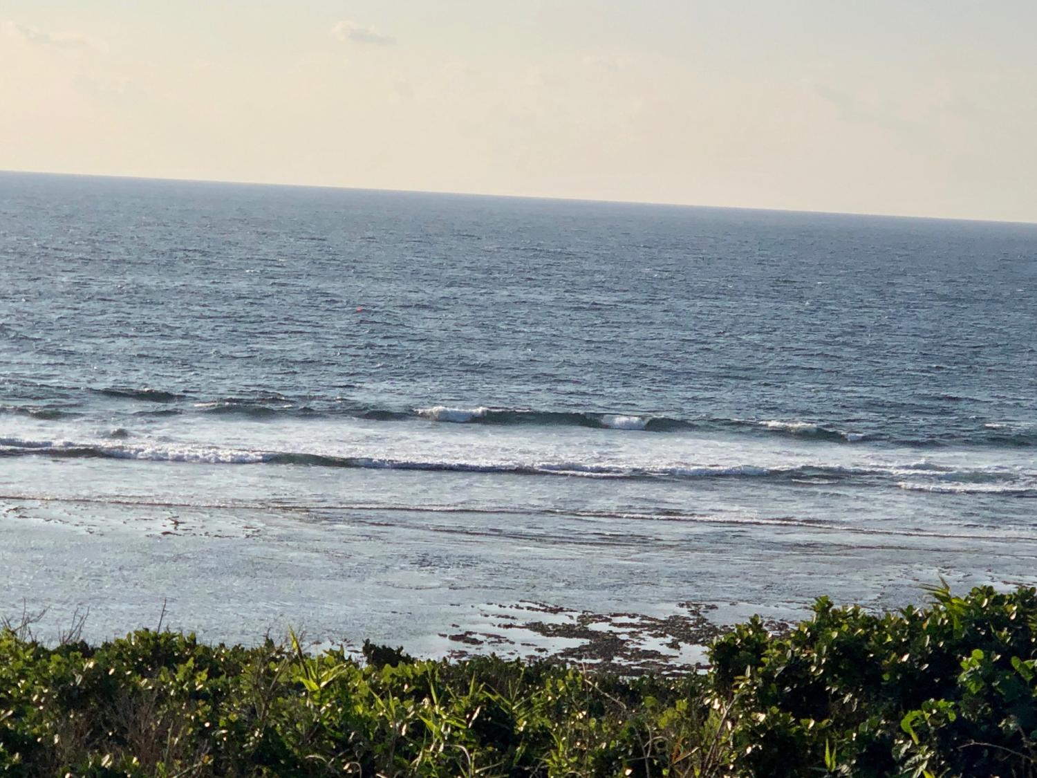2019 Jan. 31 suicide point wave information 2