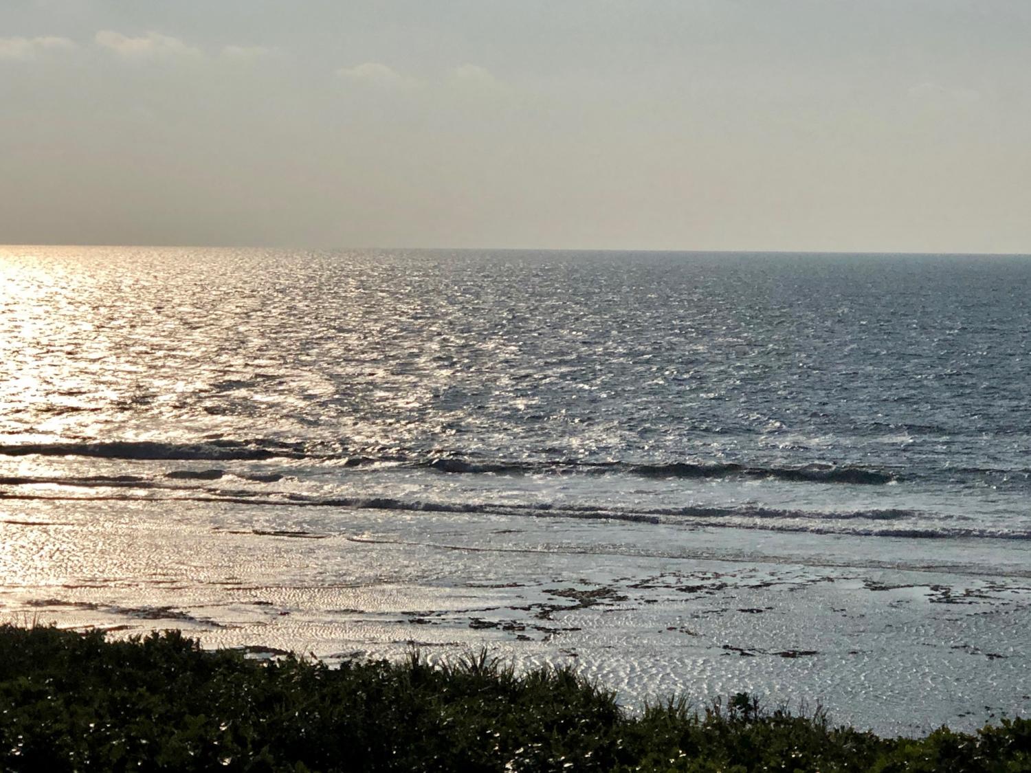 2019 Jan. 31 suicide point wave information 3