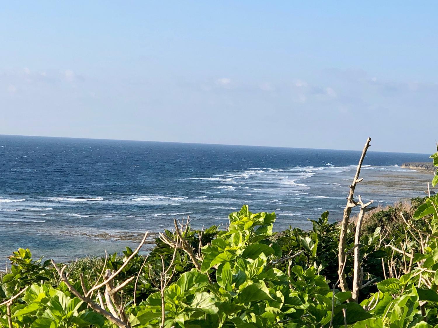 2019 Jan. 31 suicide point wave information 4