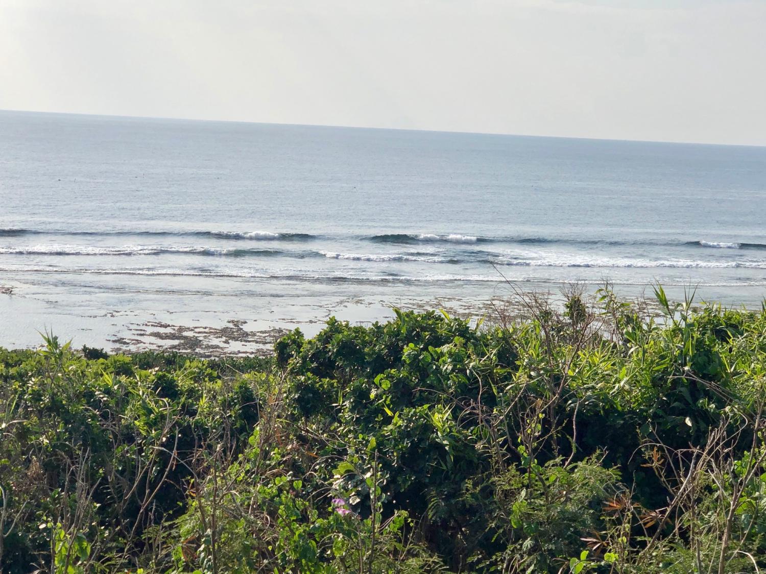 2019 Feb. 2 nd suicide point wave information 1