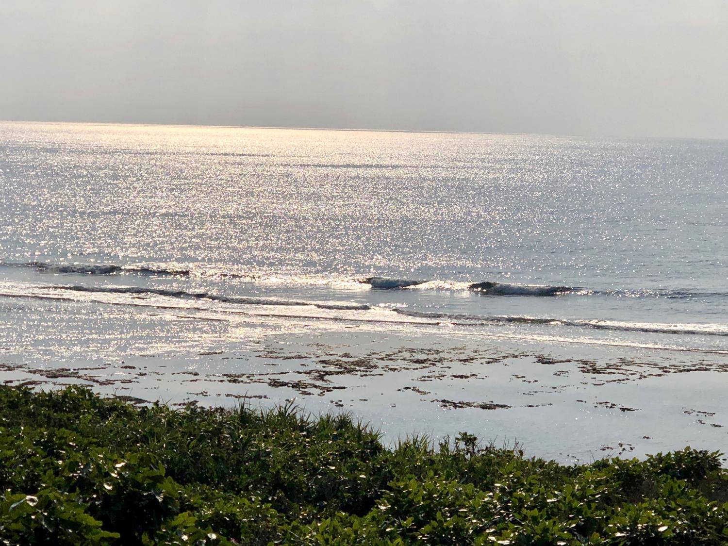 2019 Feb. 2 nd suicide point wave information 2