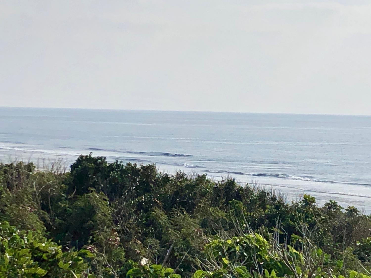 2019 Feb. 2 nd suicide point wave information 3