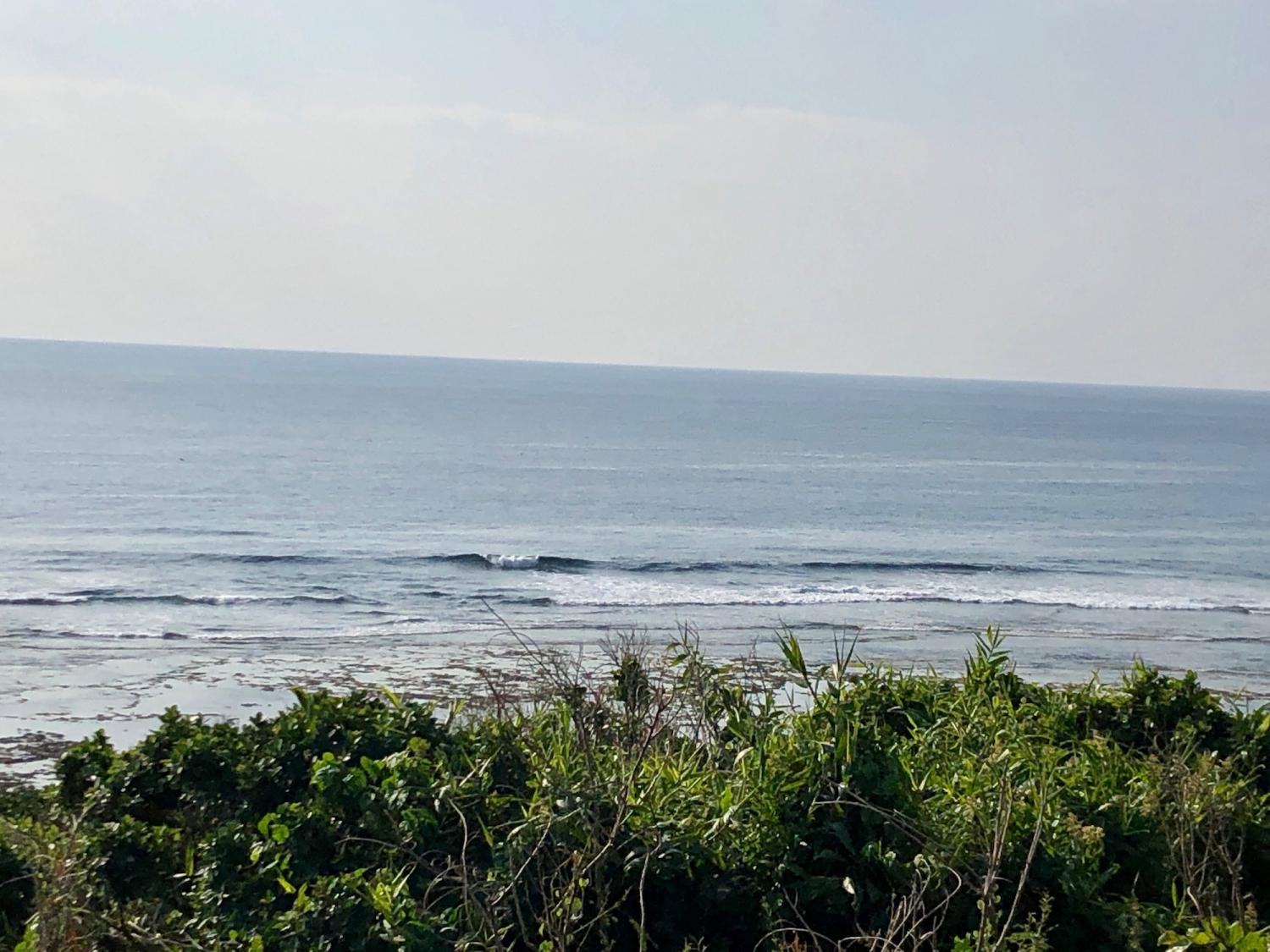 2019 Feb. 2 nd suicide point wave information 4