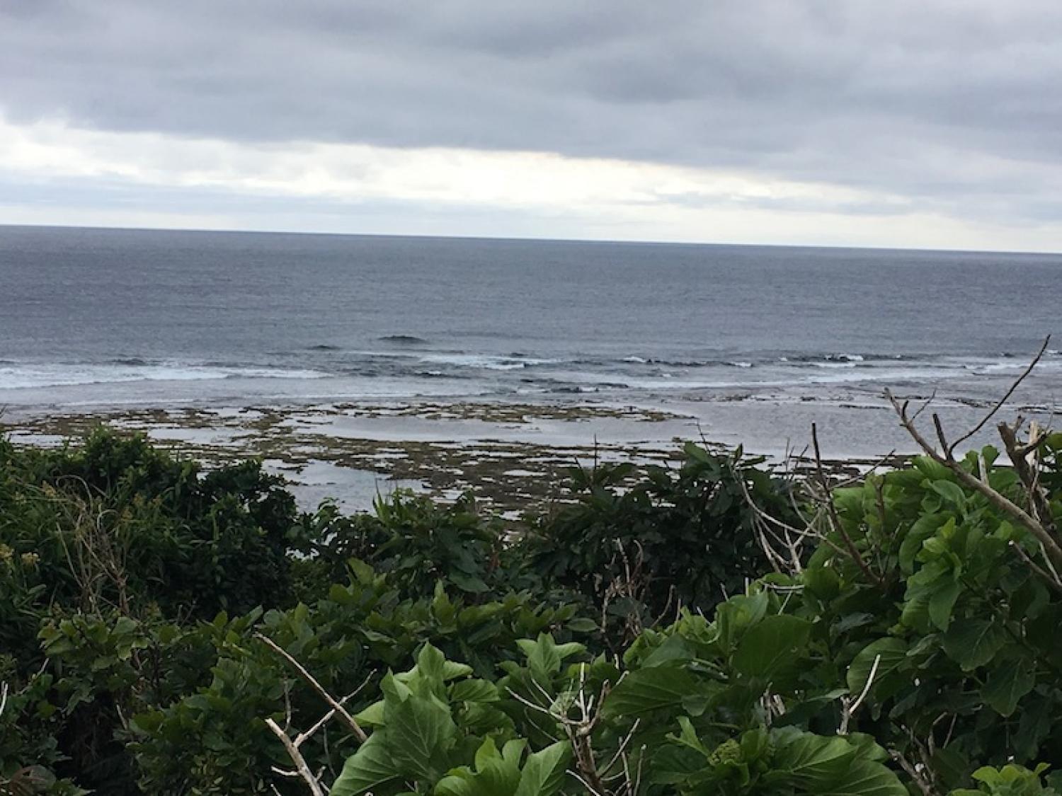 2019 Feb. 4th suicide point wave information 2