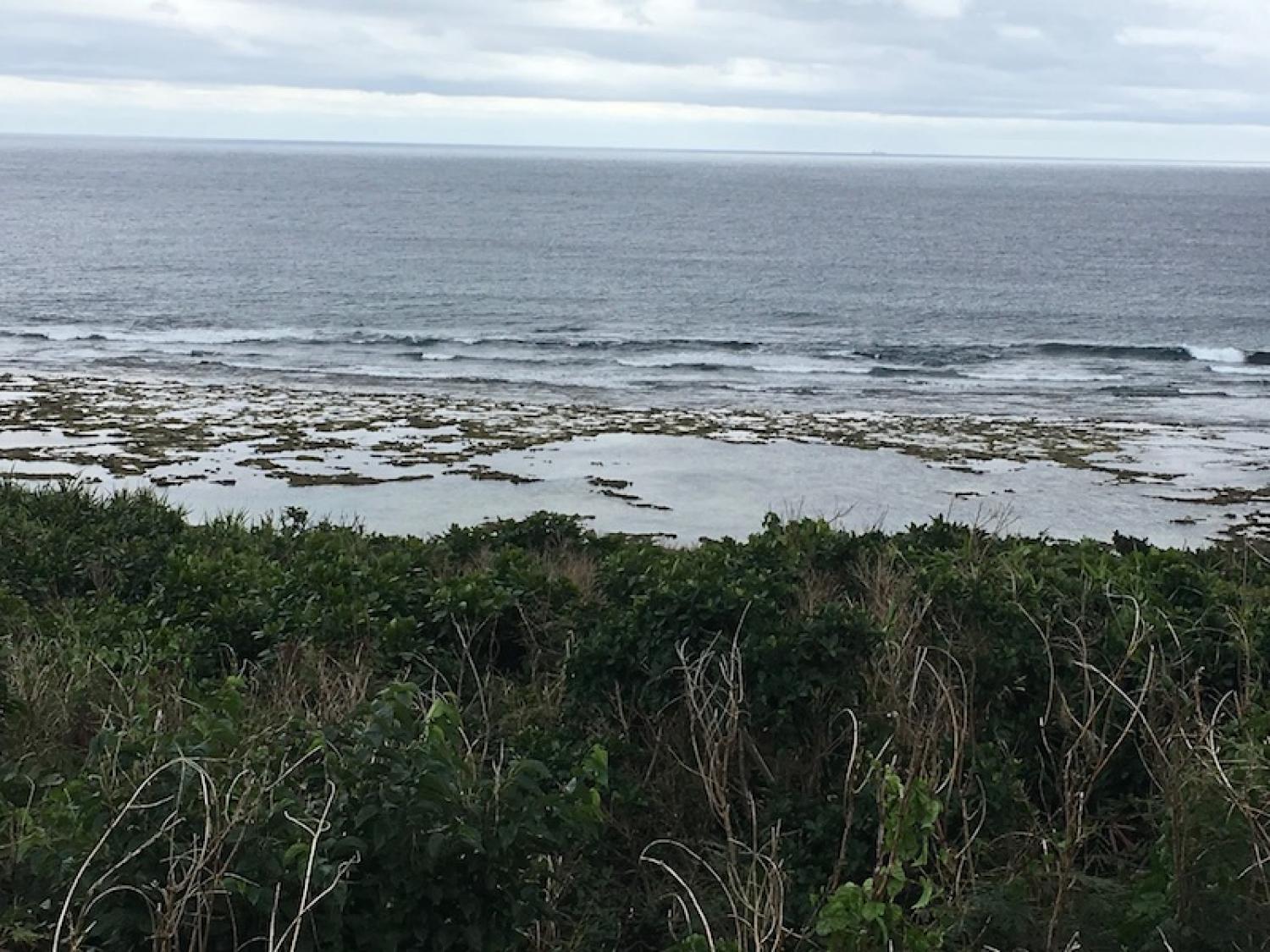 2019 Feb. 4th suicide point wave information 3