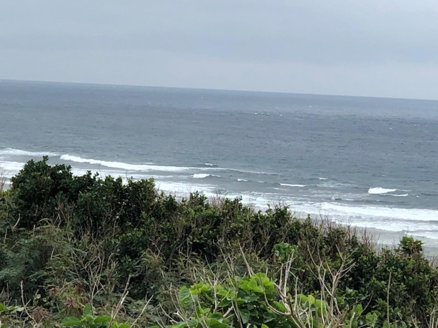 2019 Feb. 5th suicide point wave information 1