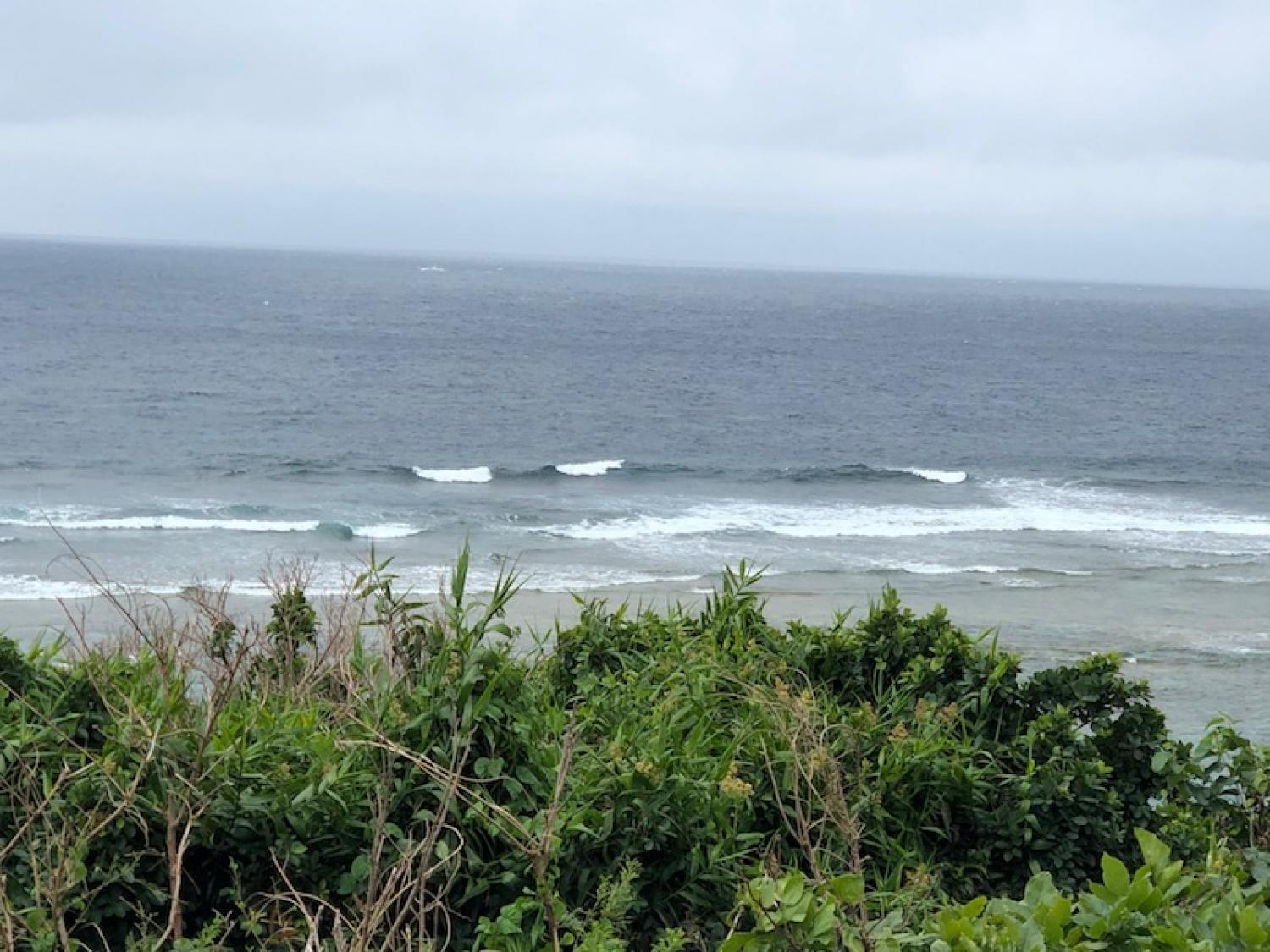 2019 Feb. 5th suicide point wave information 2