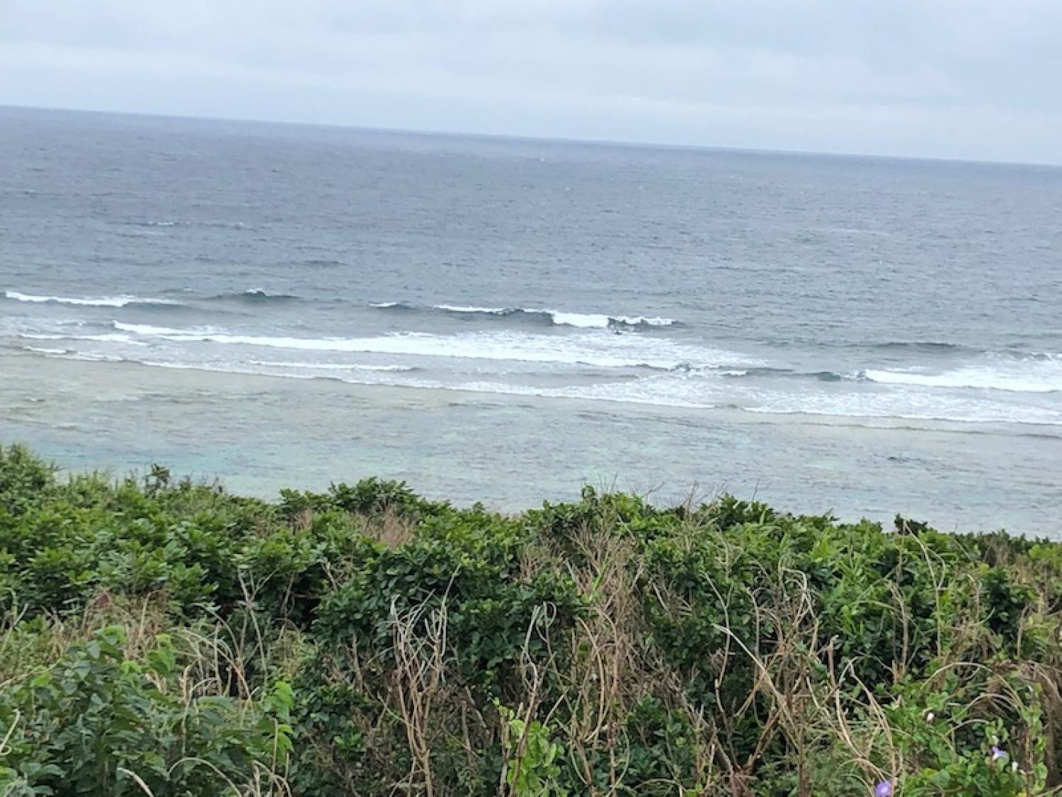 2019 Feb. 5th suicide point wave information 3