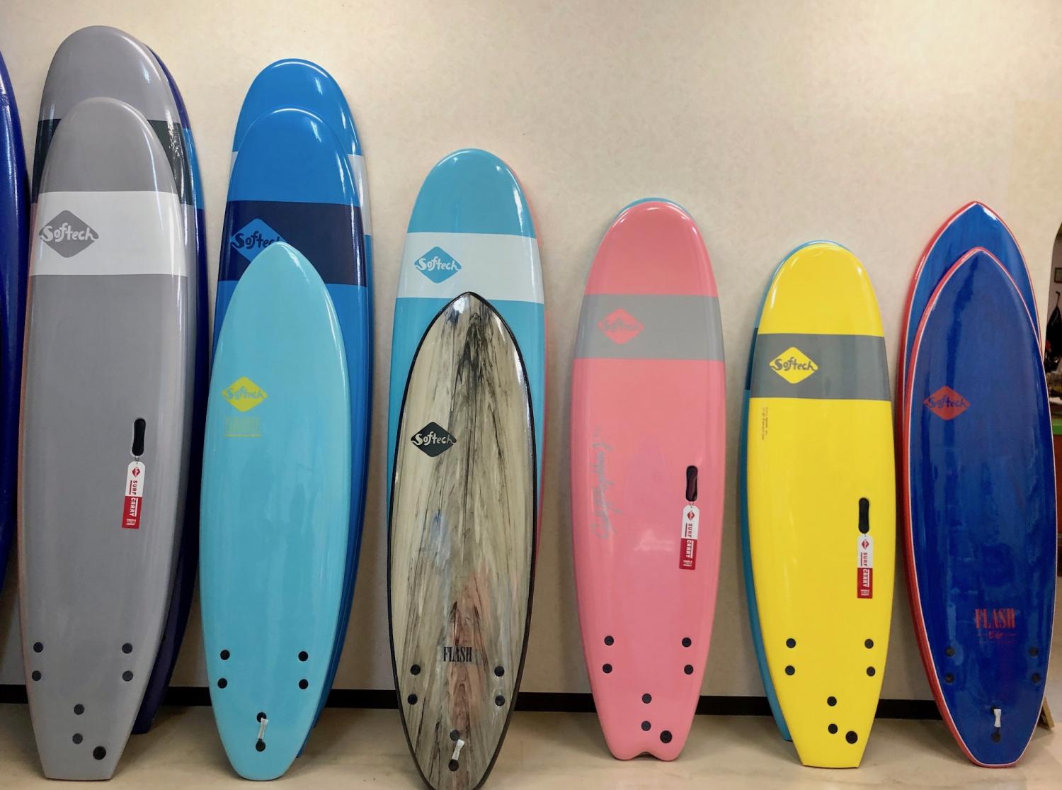 SOFTECH 2019第一弾入荷しました！ 1