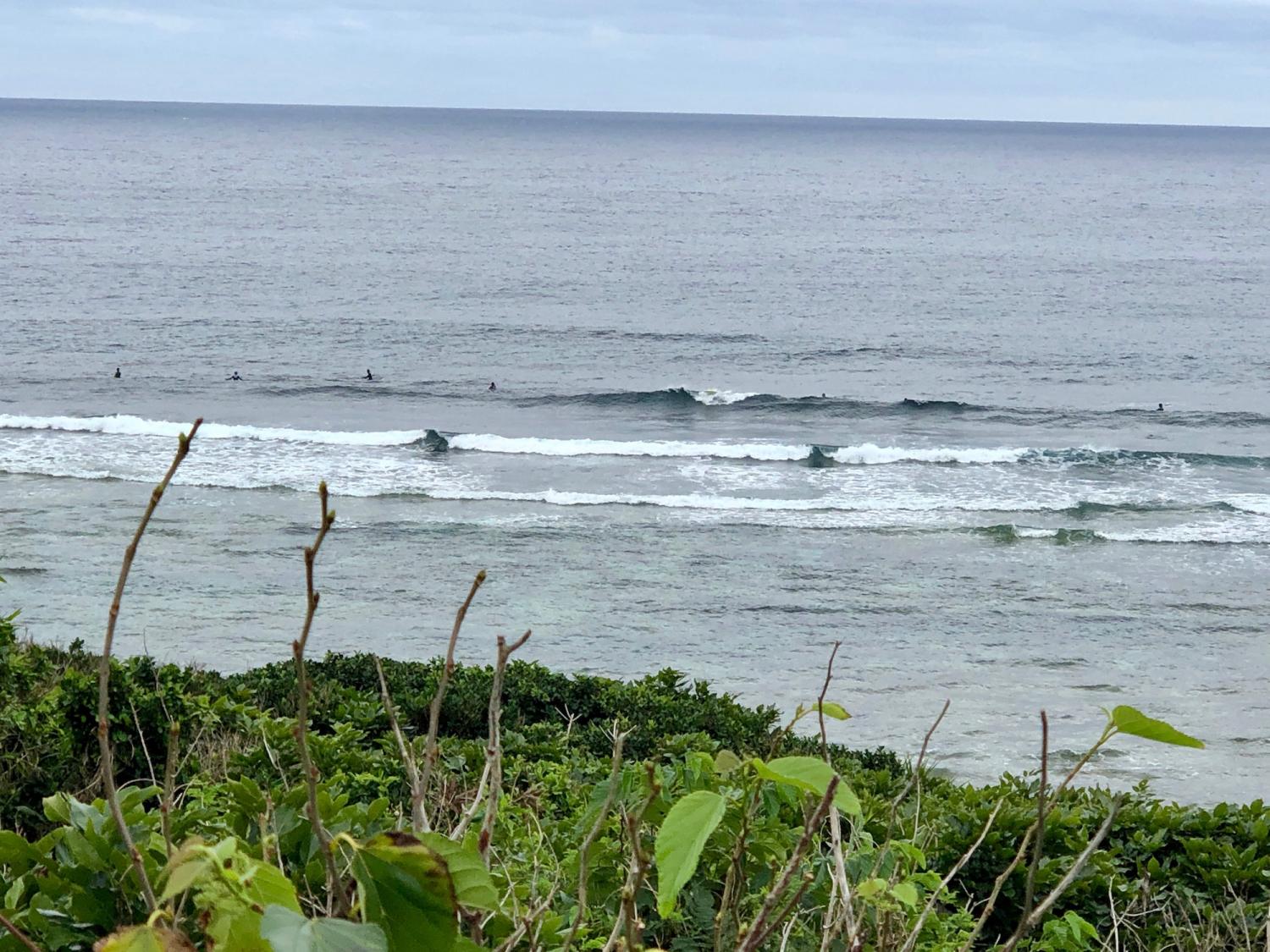 2019 Feb. 12th suicide point wave information 1